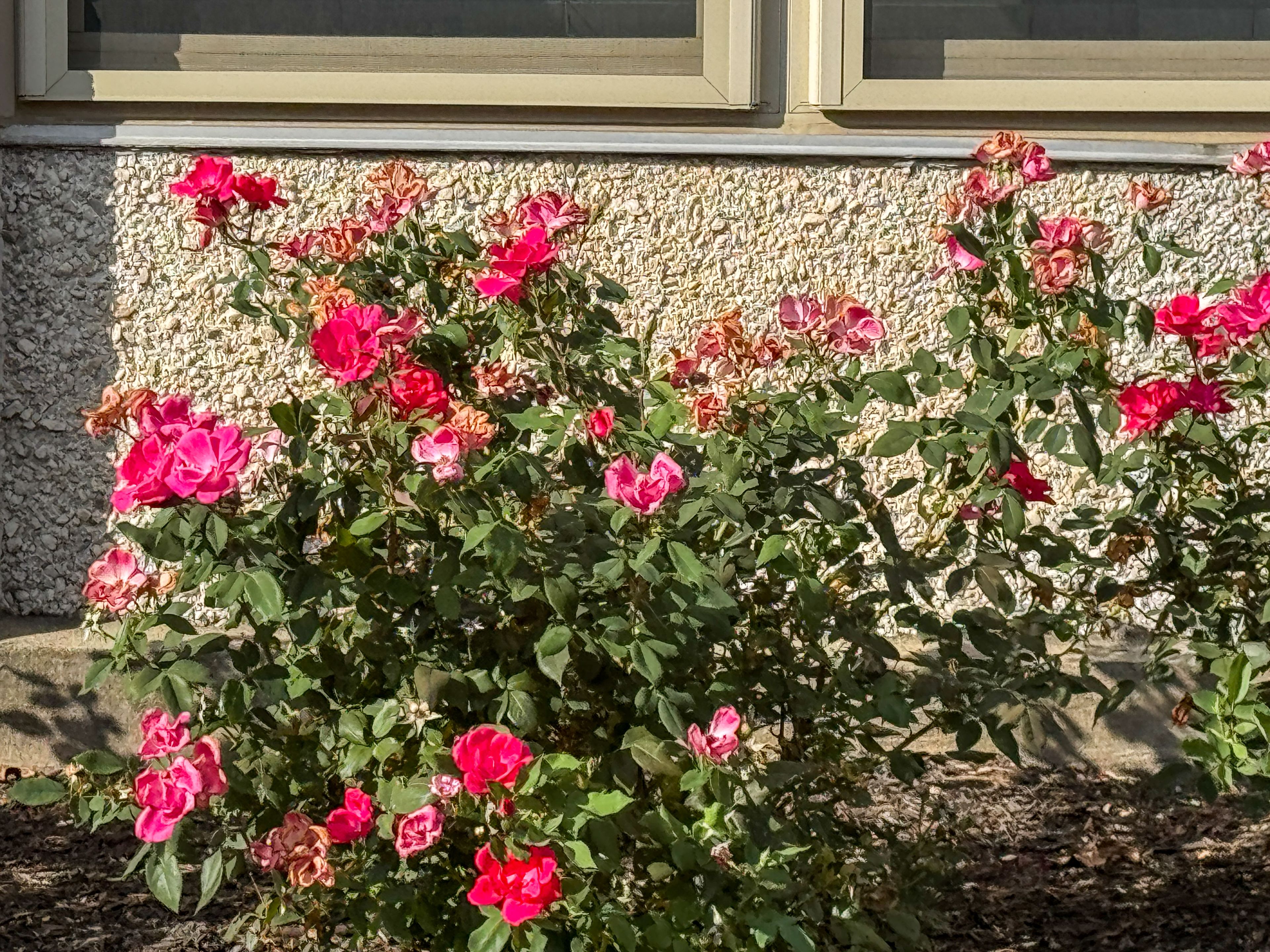 The Christian Village at Mt. Healthy 3