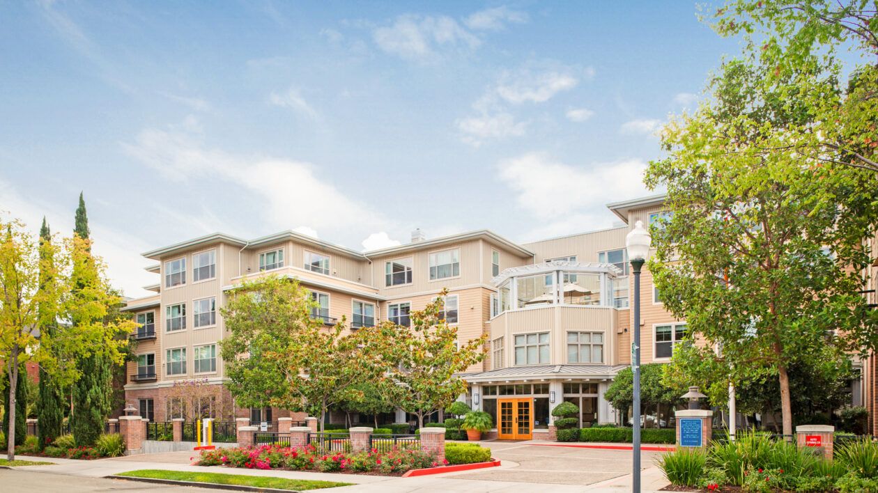 Ivy Park at Palo Alto 1