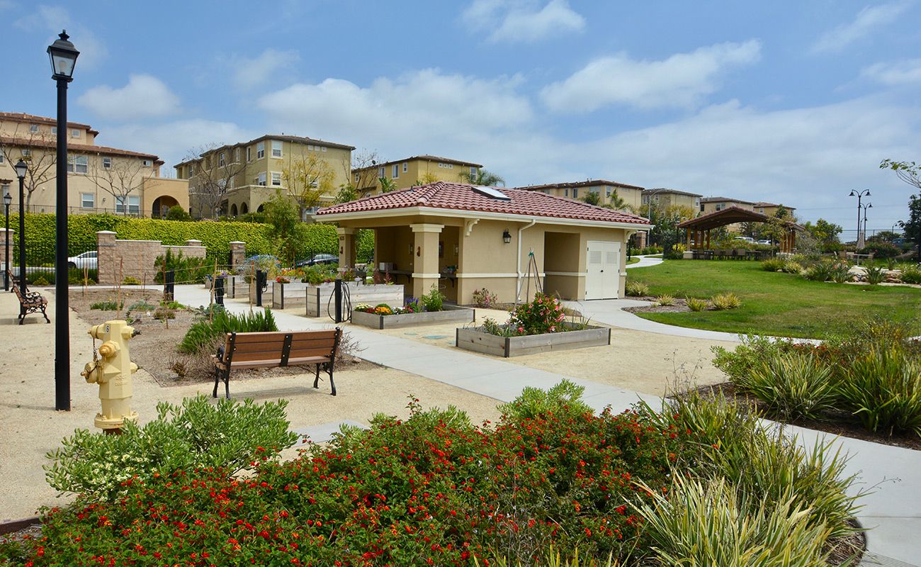 Paradise Village 1