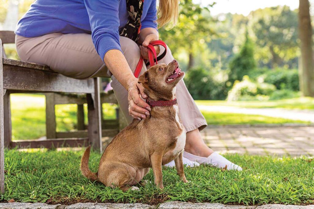 RiverSpring Assisted Living 1