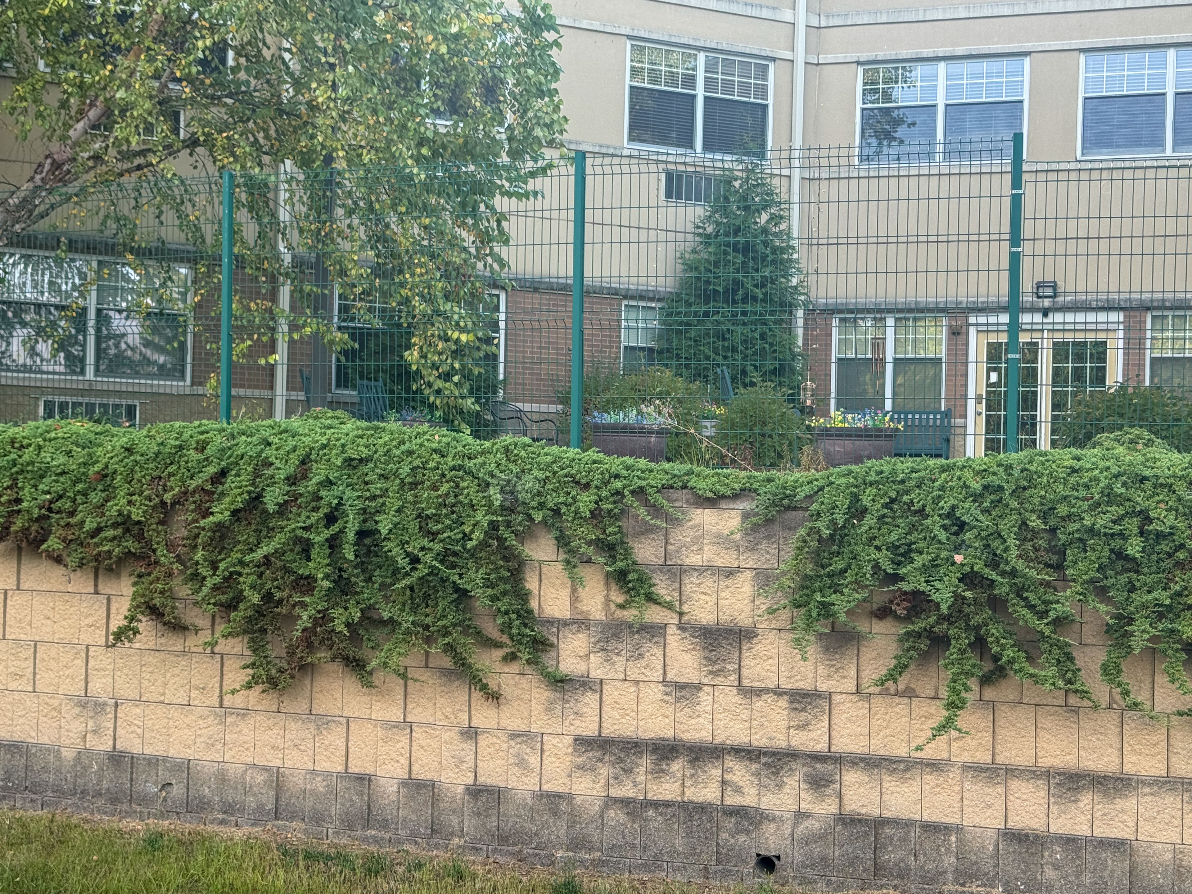 Home At Hearthstone 4