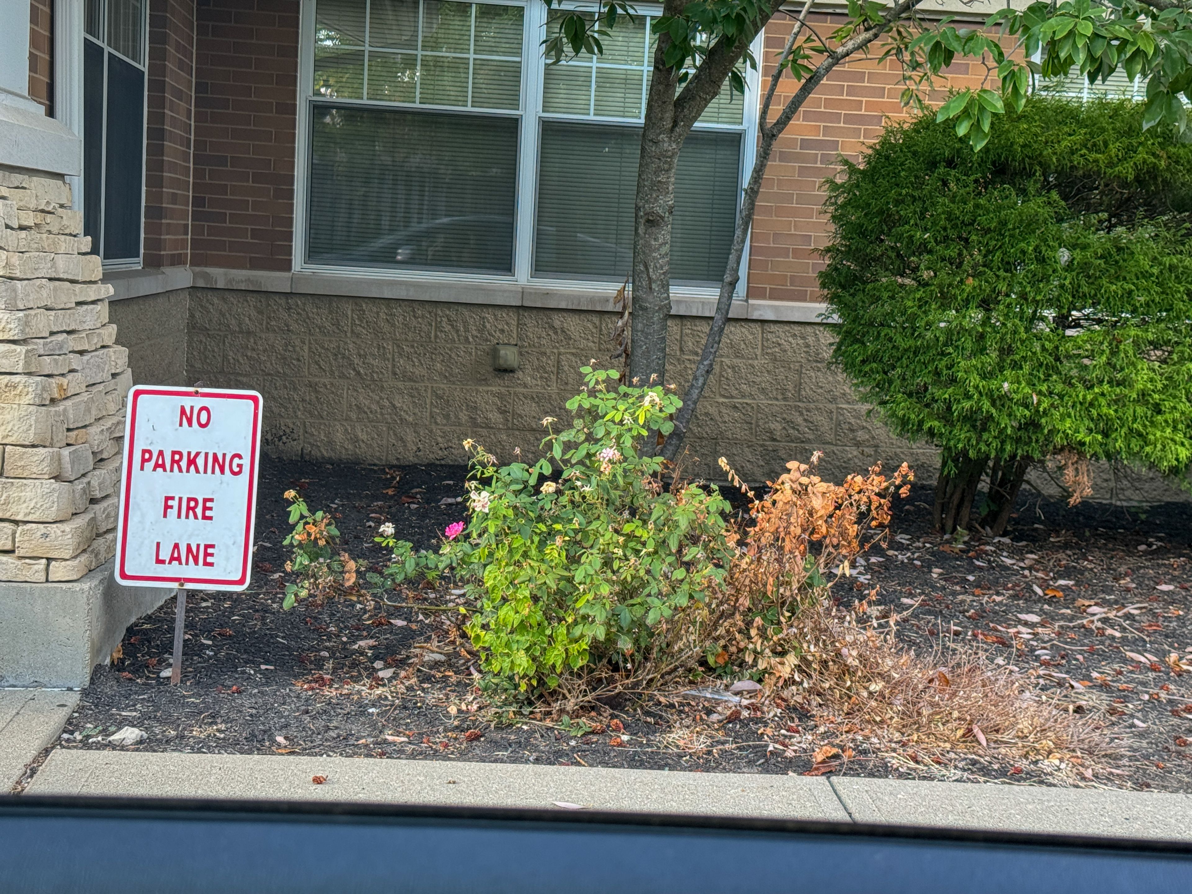 Home At Hearthstone 2