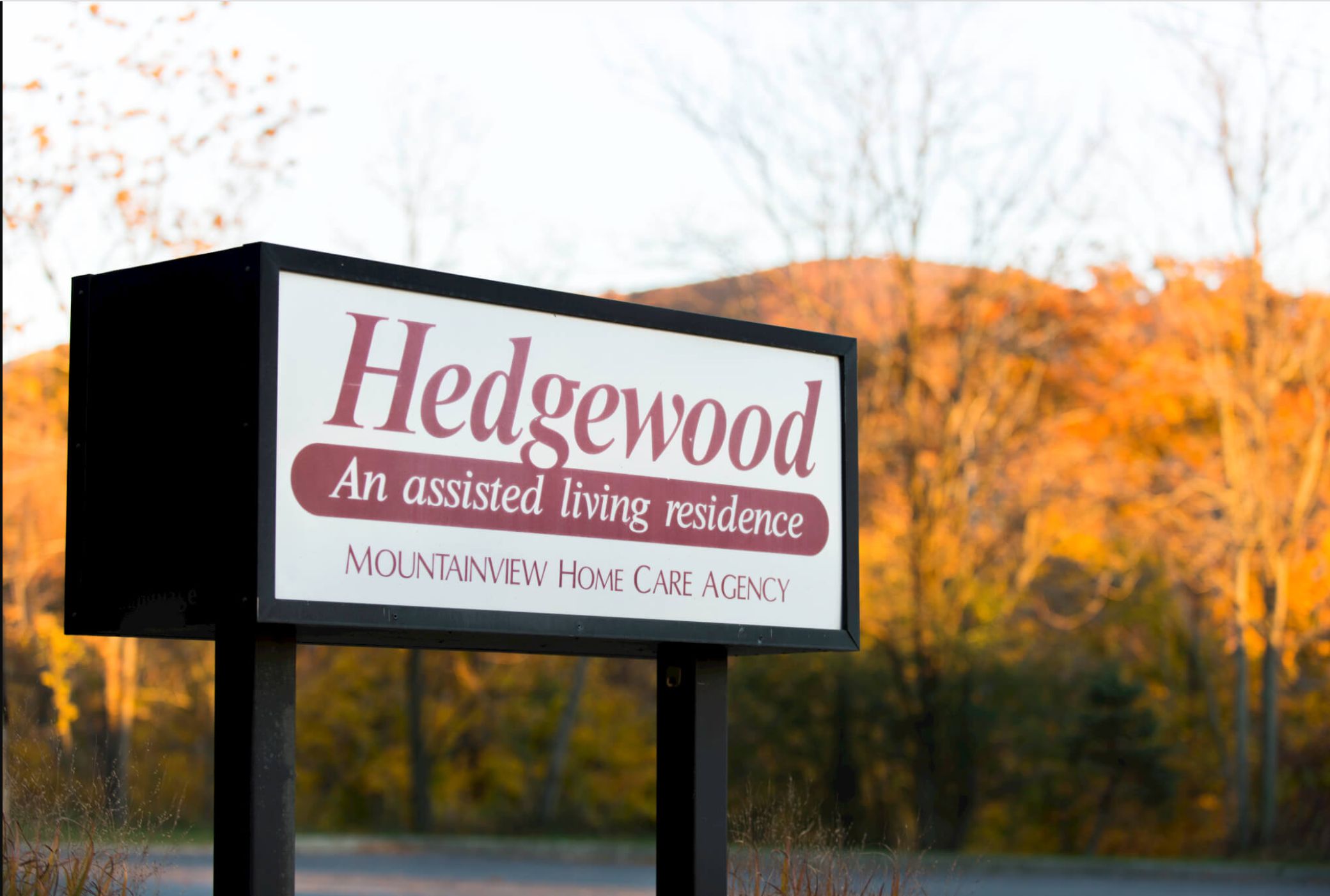 Hedgewood ALP 2