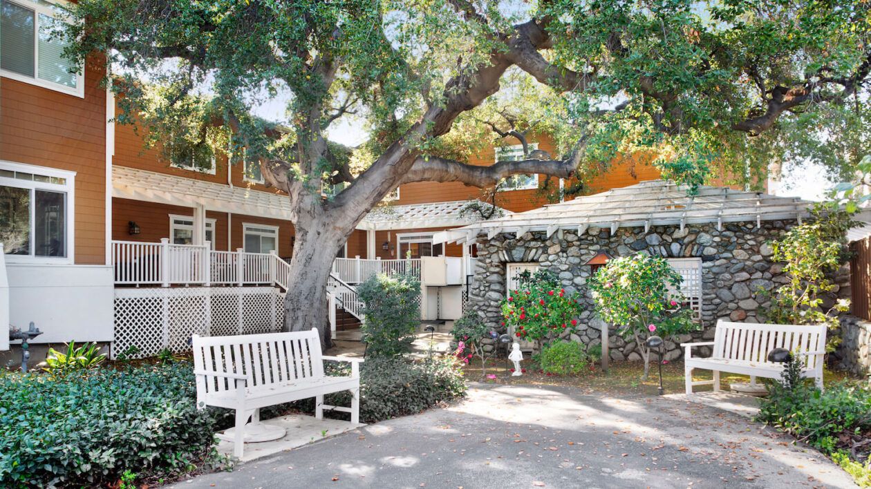 Ivy Park at Claremont 2