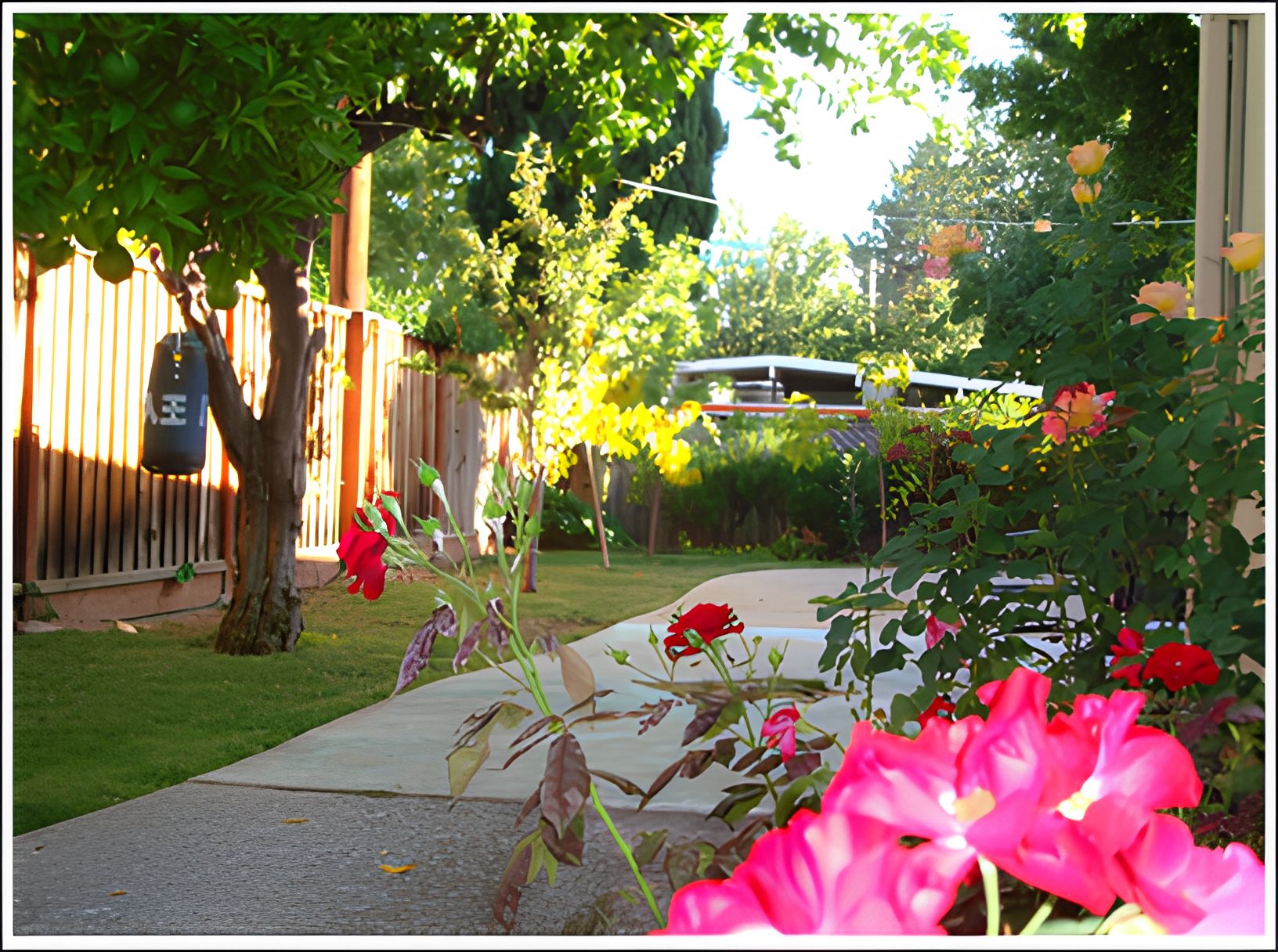 Willie Care Home 1