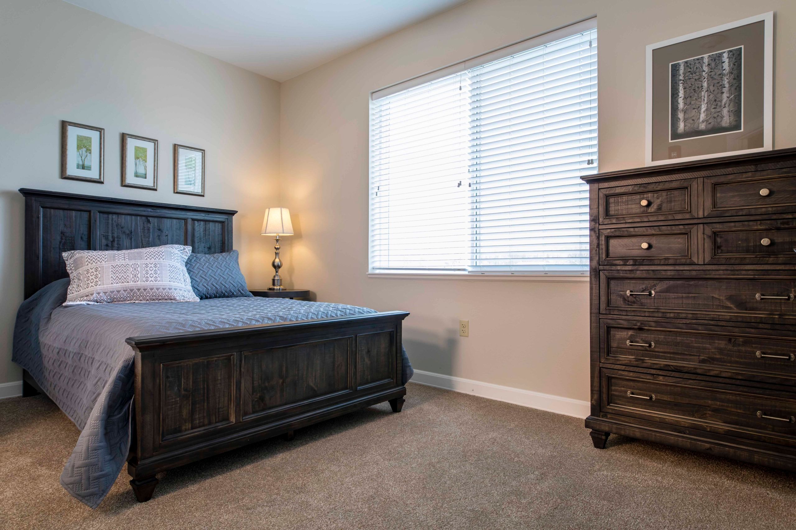 Pioneer Ridge Assisted Living 2