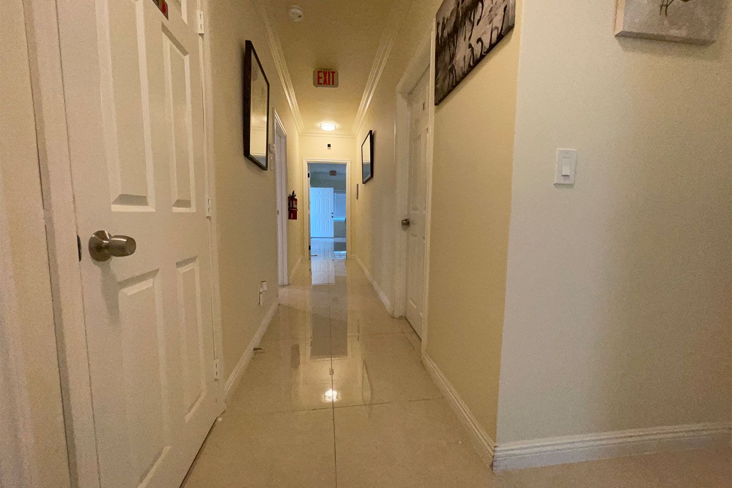 Moon Light Boarding Care 3