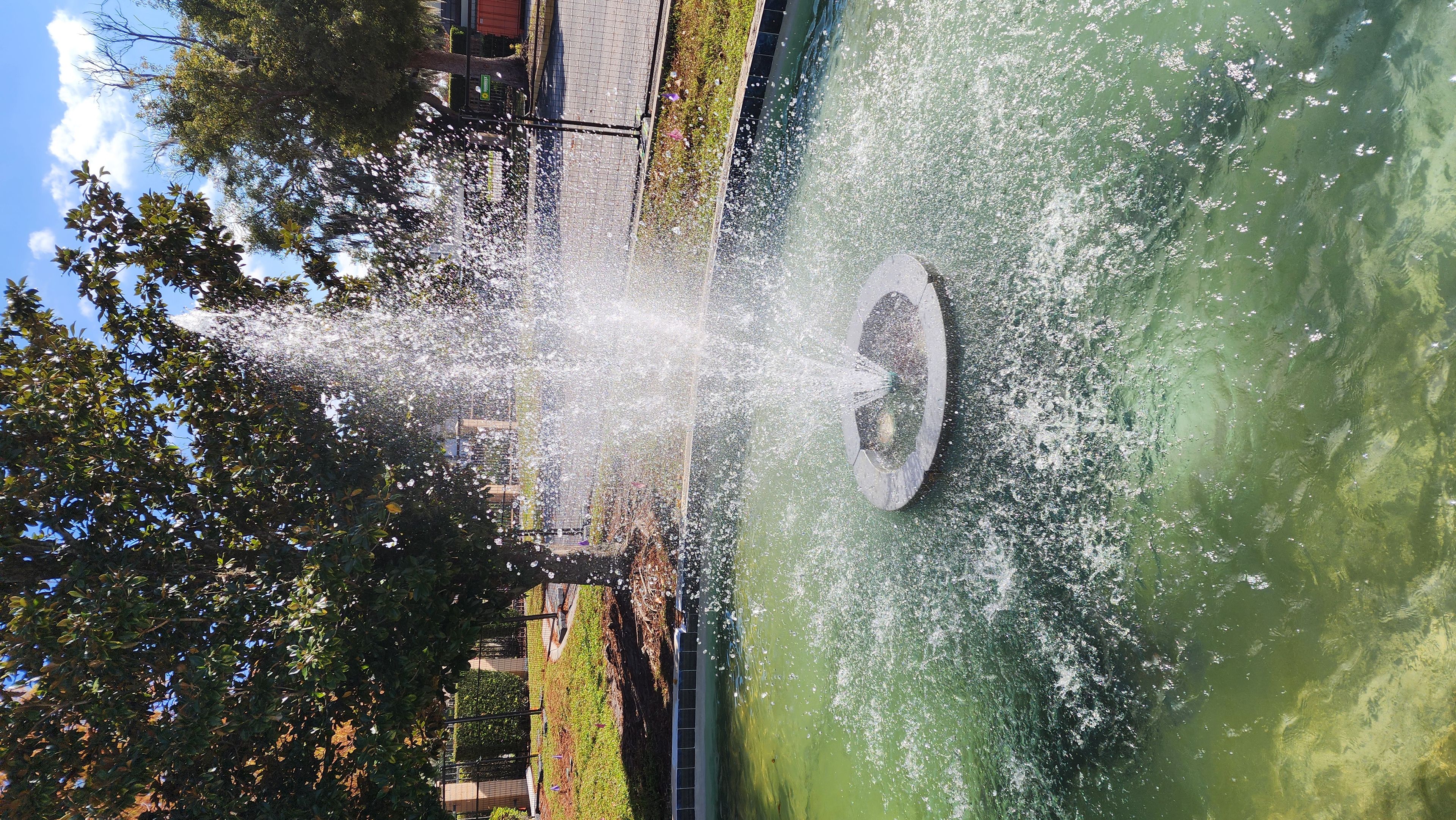 Westminster Winter Park 3