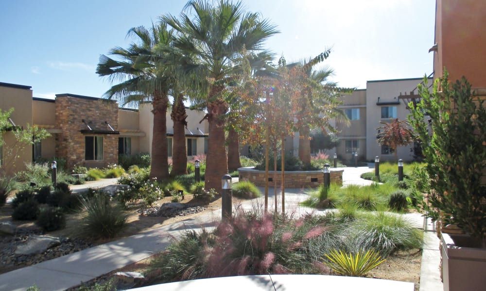 The Palms At La Quinta Senior Living 3