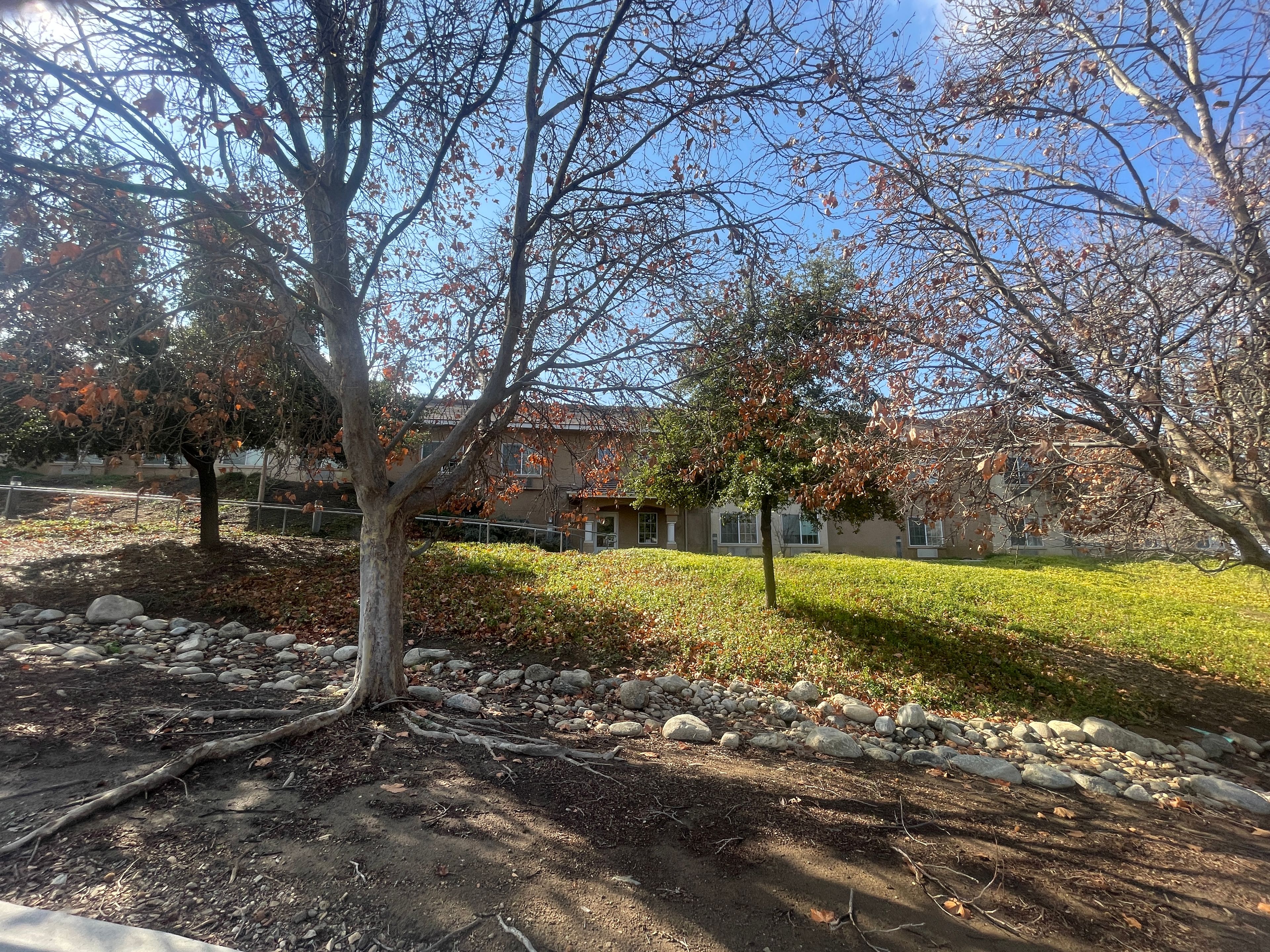 Wildwood Canyon Villa Assisted Living and Memory Care 1