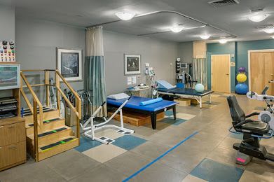 Elderwood Of Scallop Shell At Wakefield 1