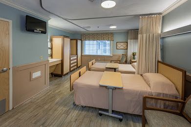 Elderwood Of Scallop Shell At Wakefield 1