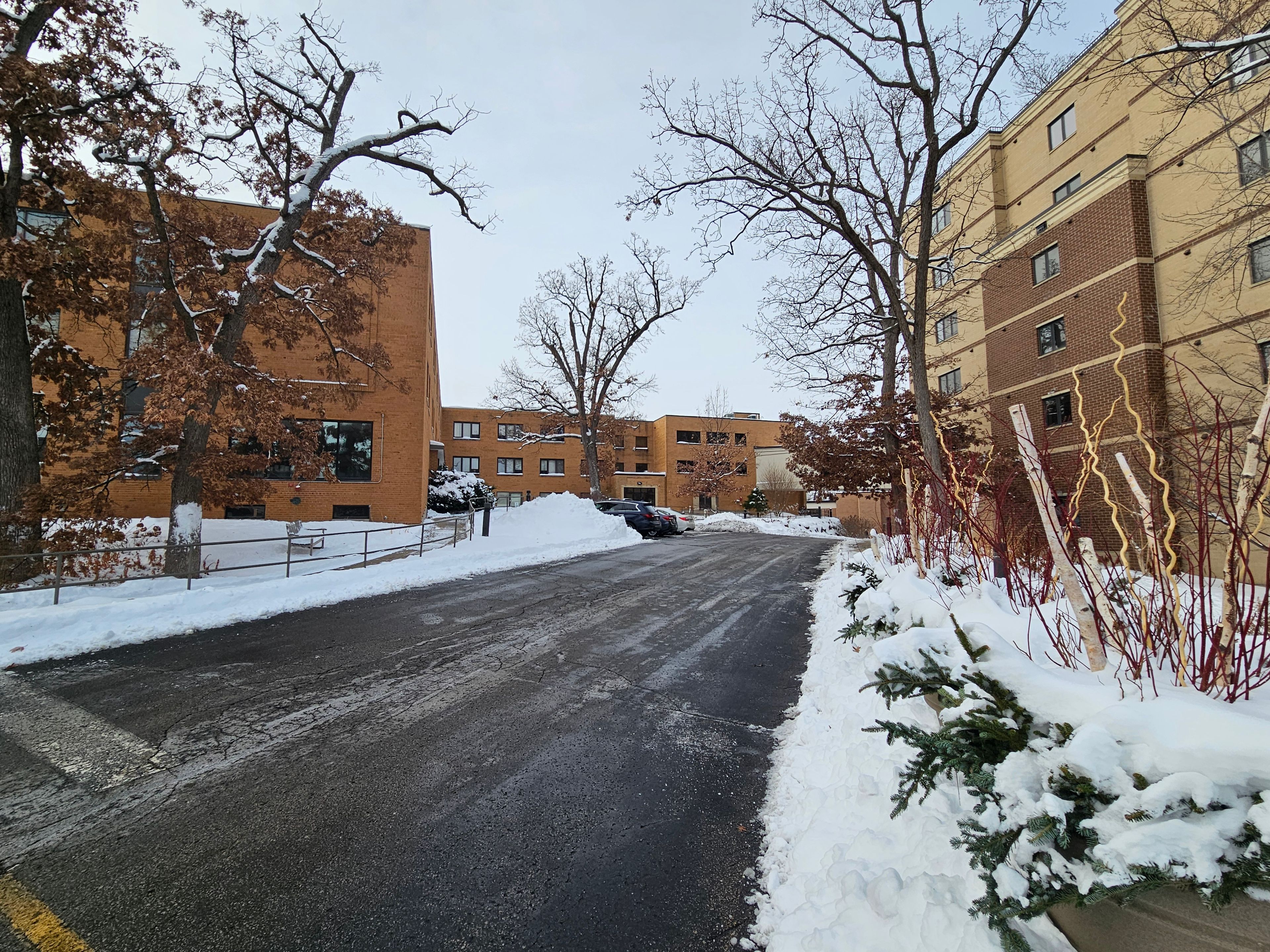 Oakwood Village University Woods 4