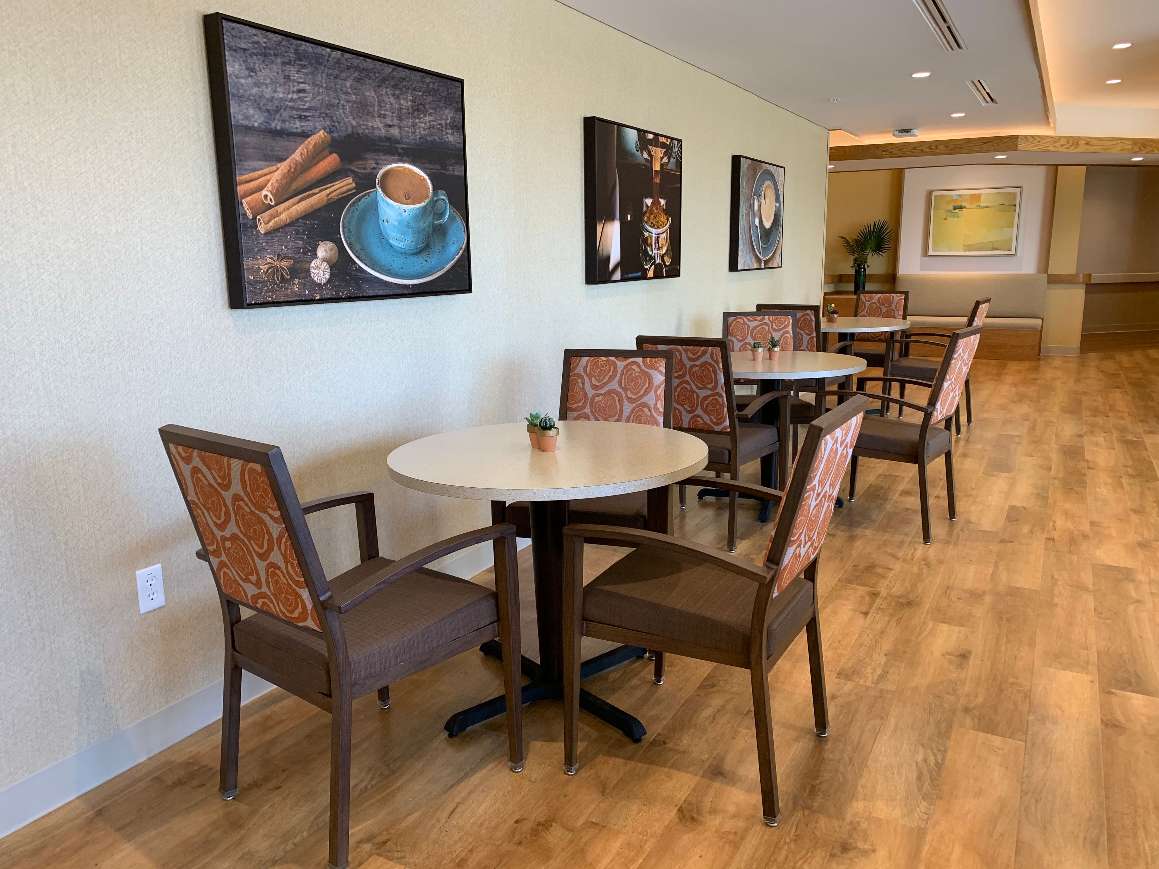 Silver Birch at Cook Road 3