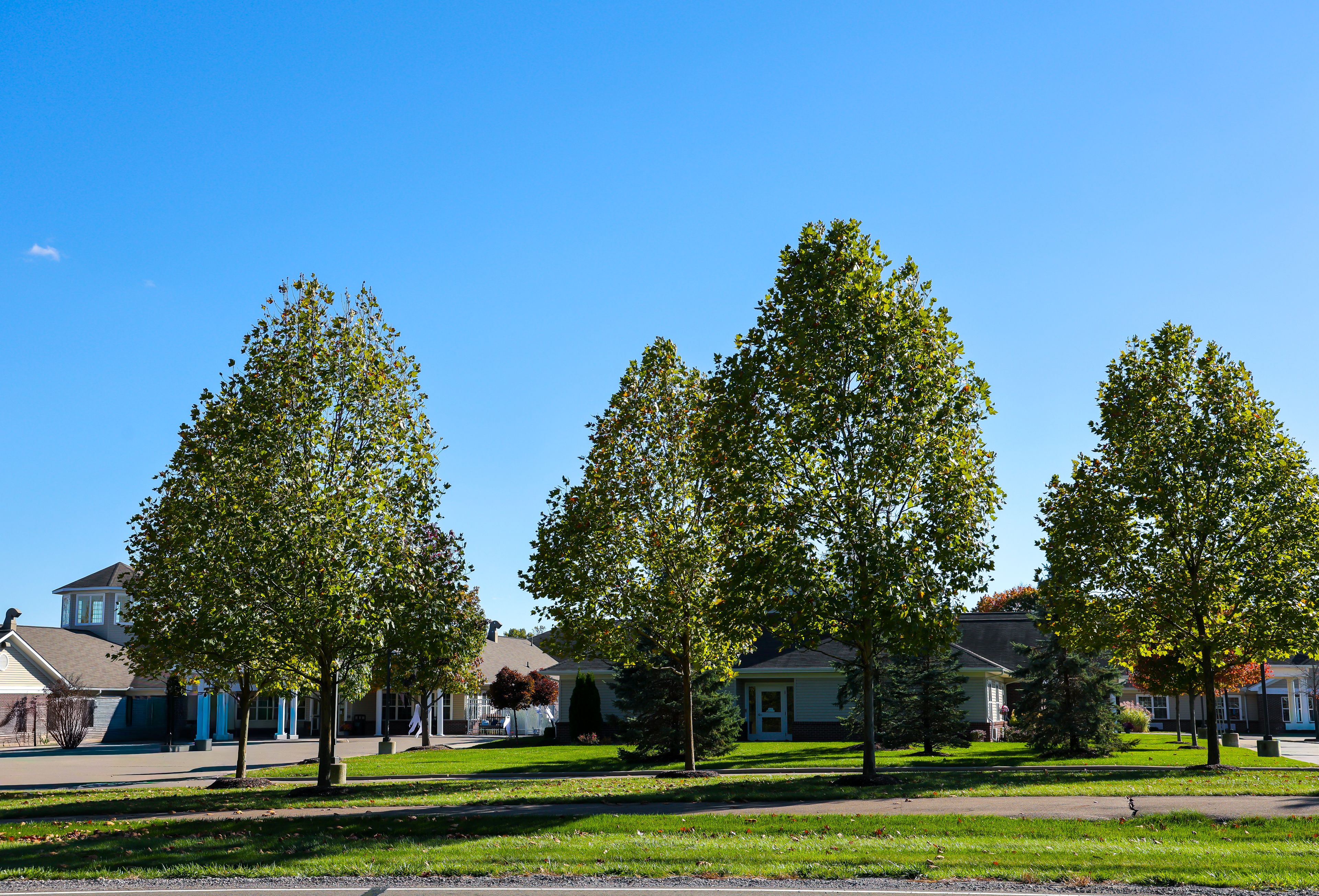 The Oaks At Woodfield 2