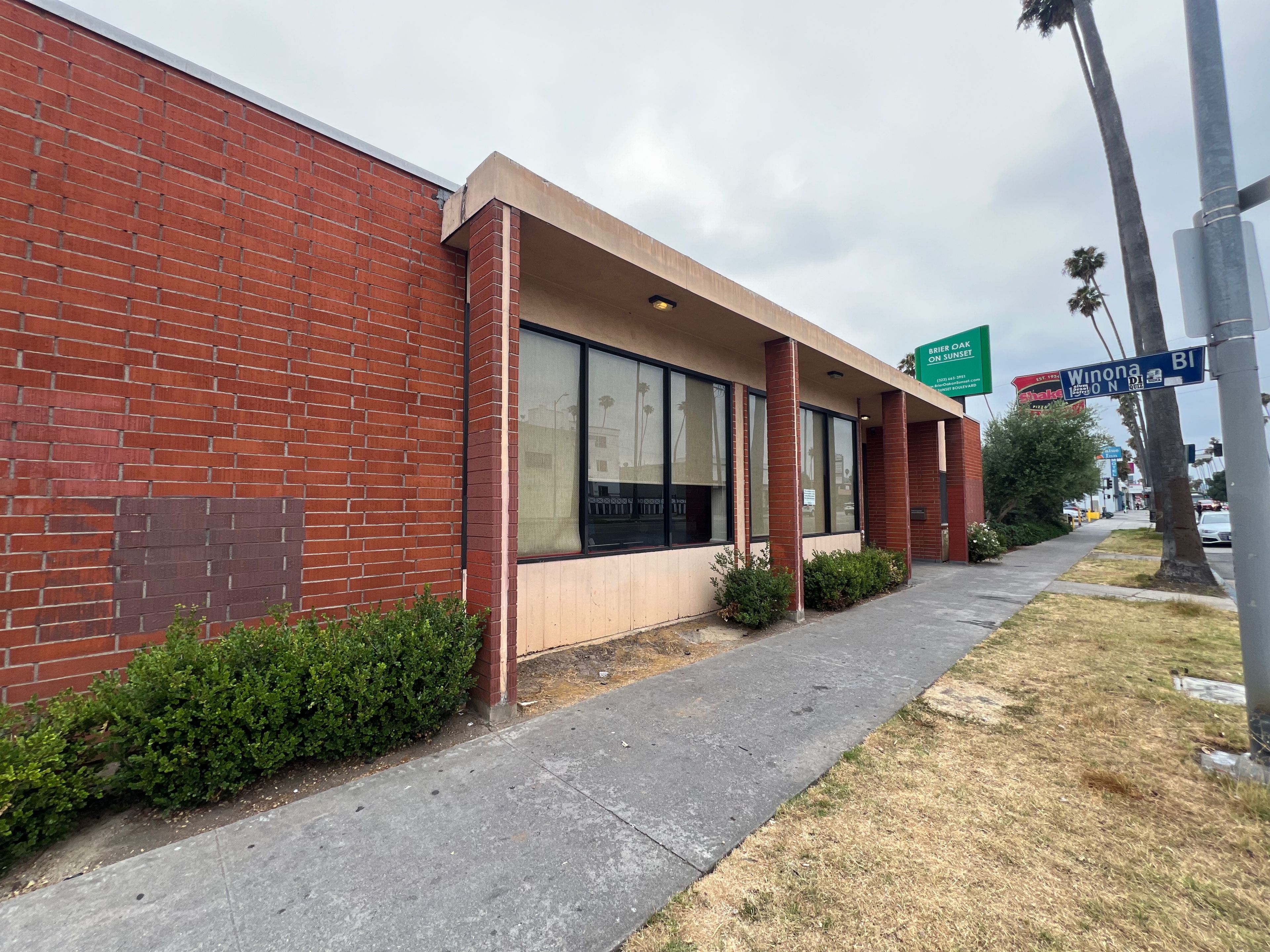 Brier Oak on Sunset 2