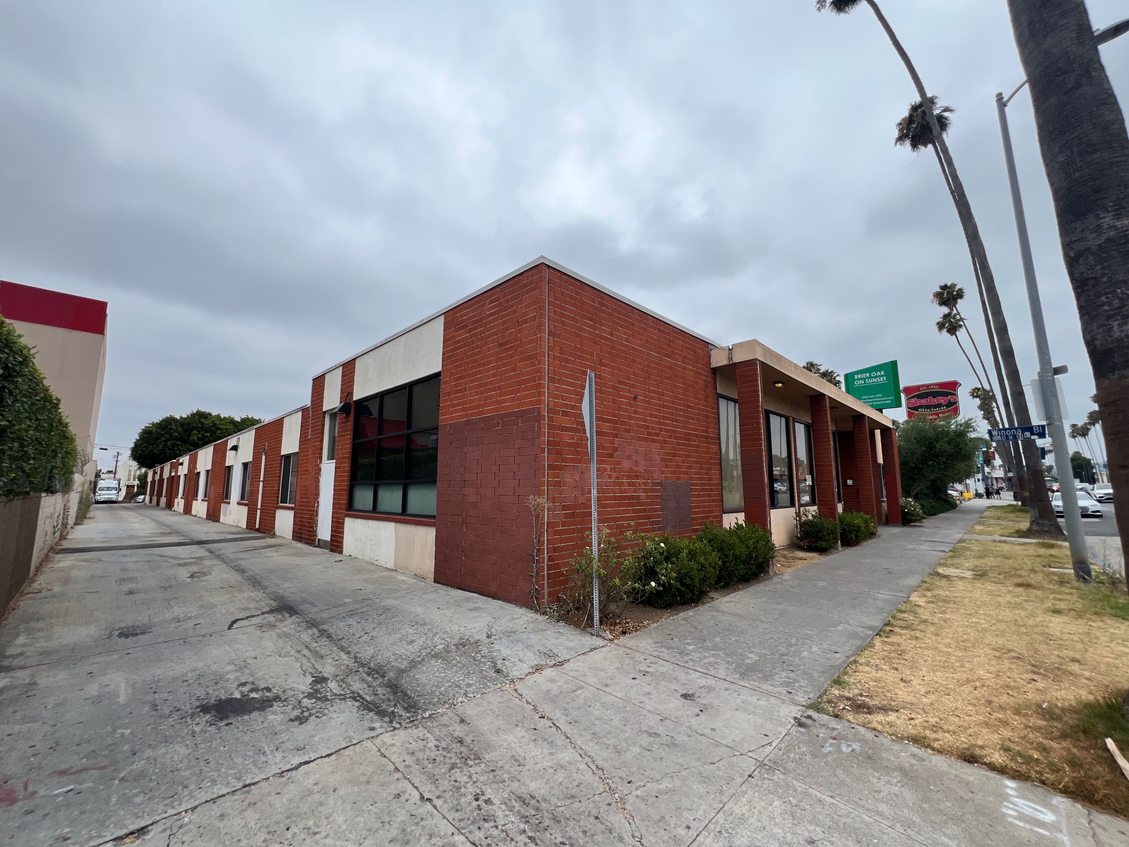 Brier Oak on Sunset 3