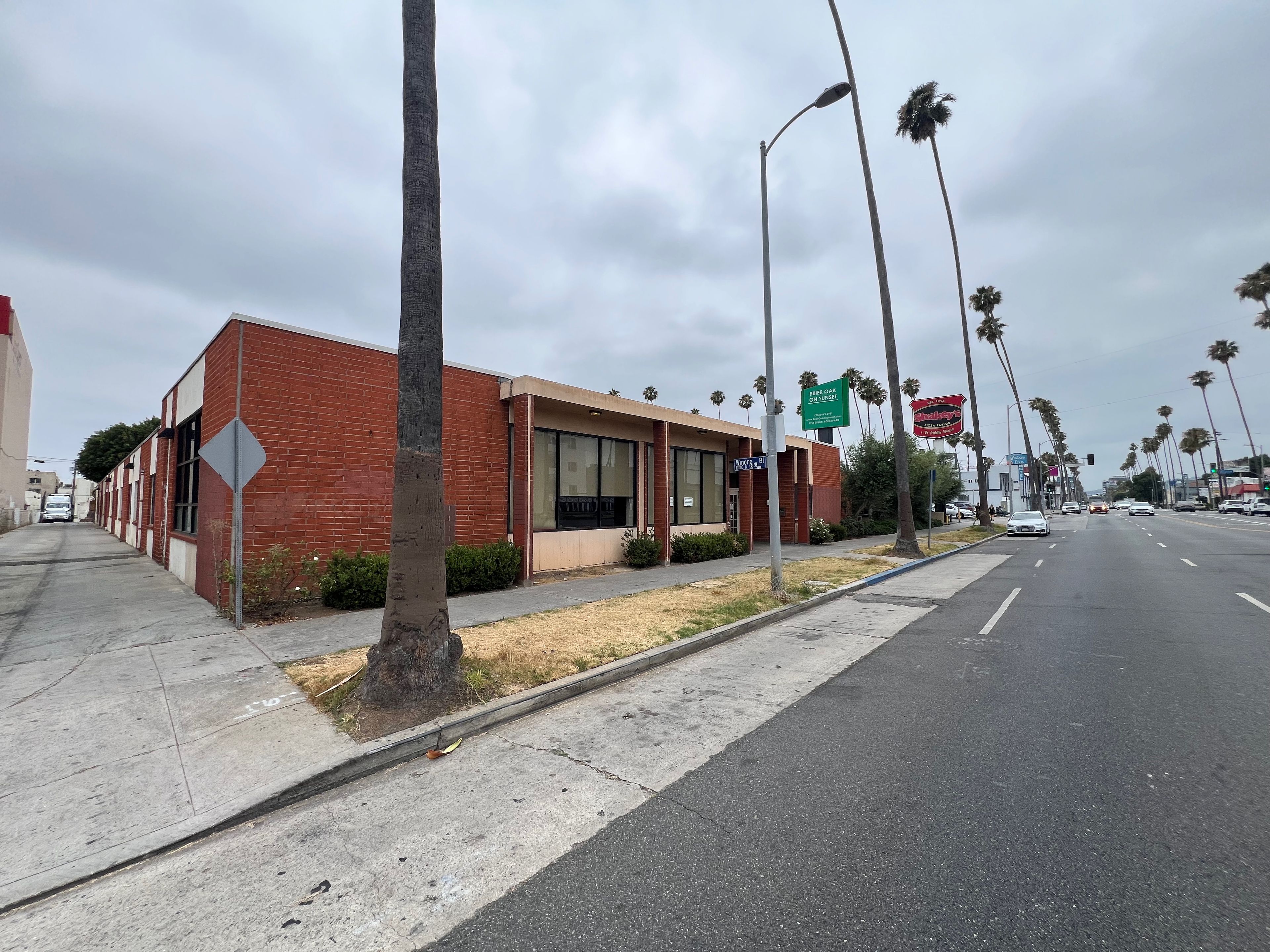 Brier Oak on Sunset 4