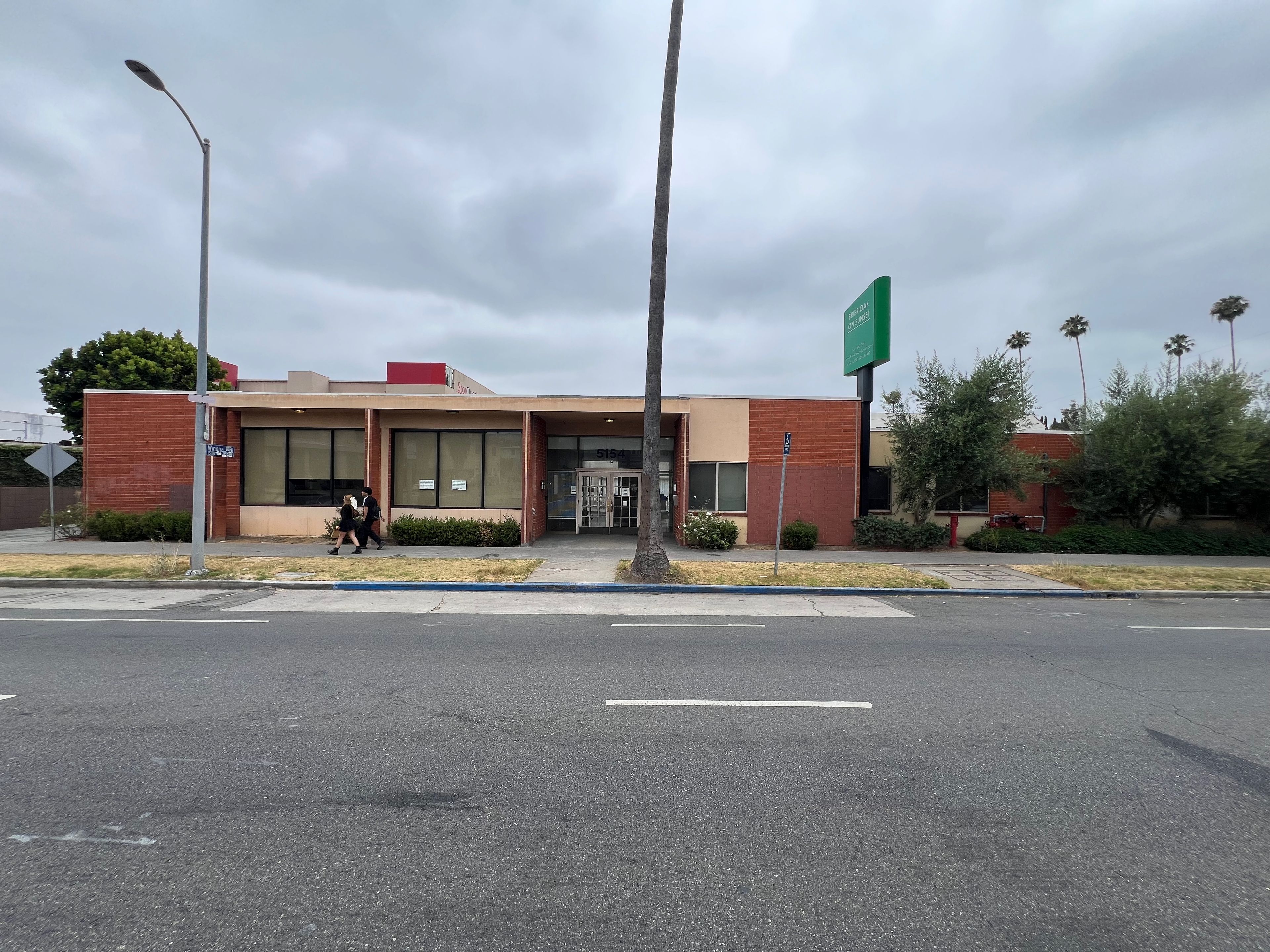 Brier Oak on Sunset 3