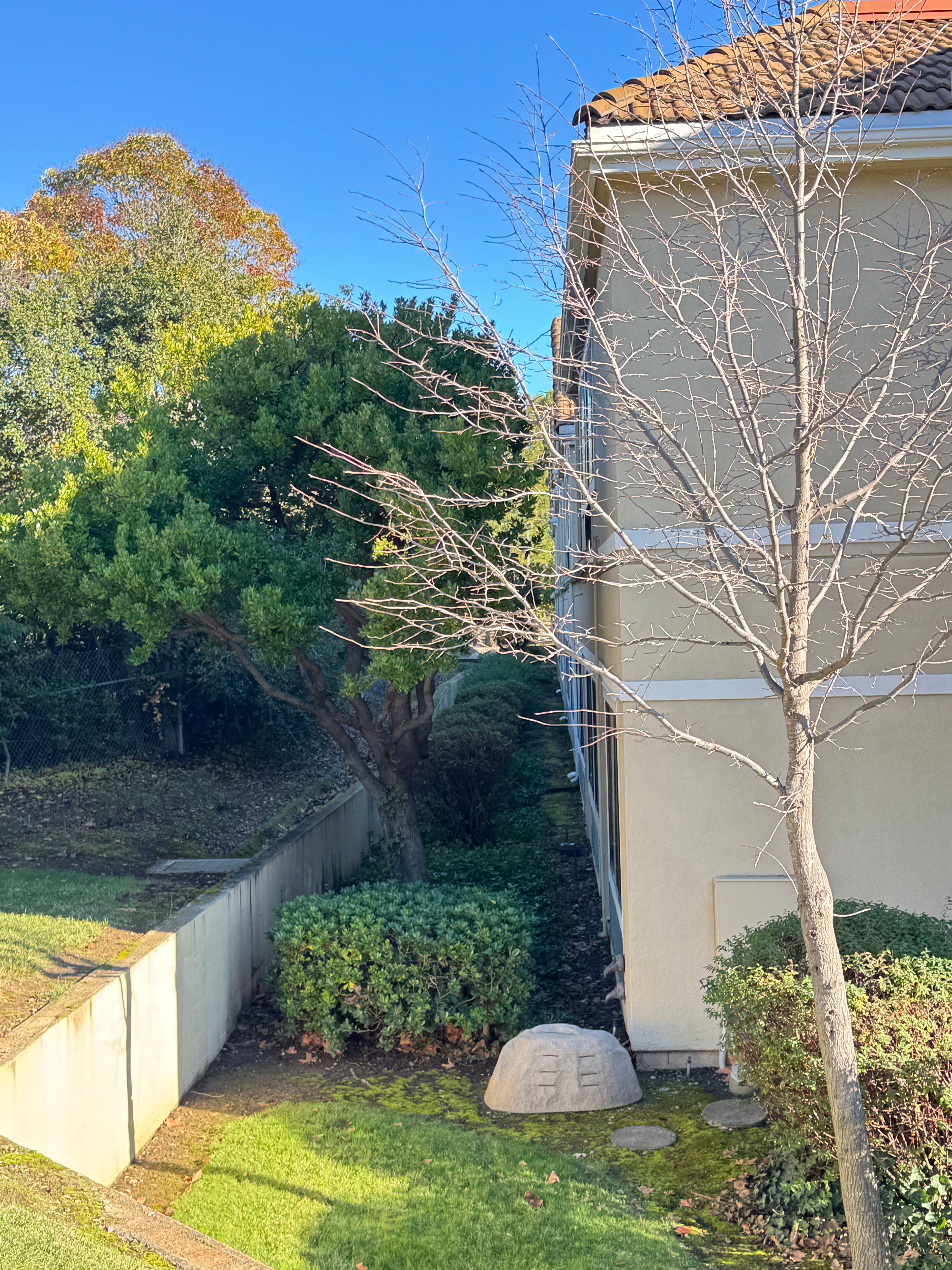 Rossmoor Post Acute 4