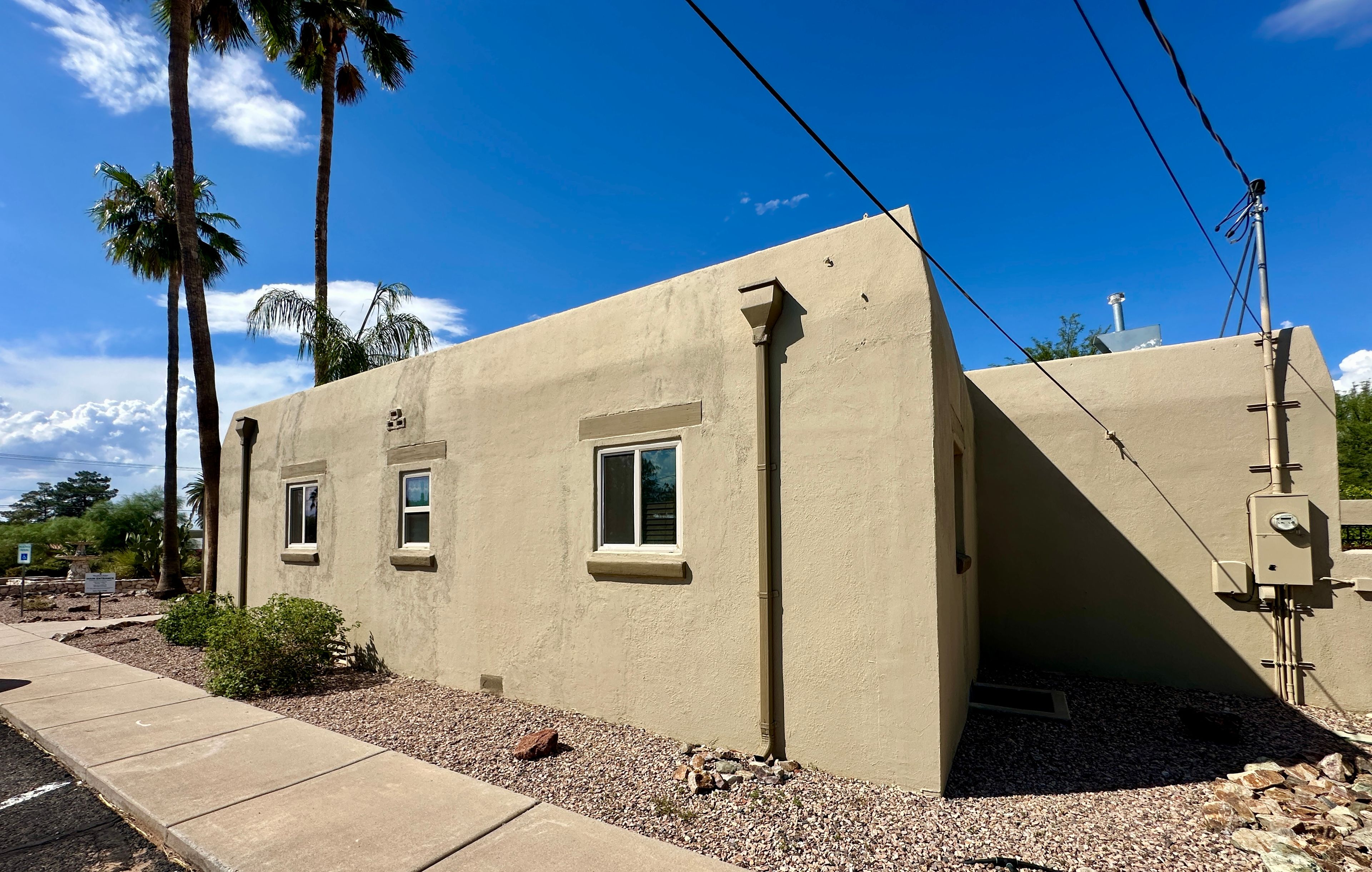 Woodland Palms 4
