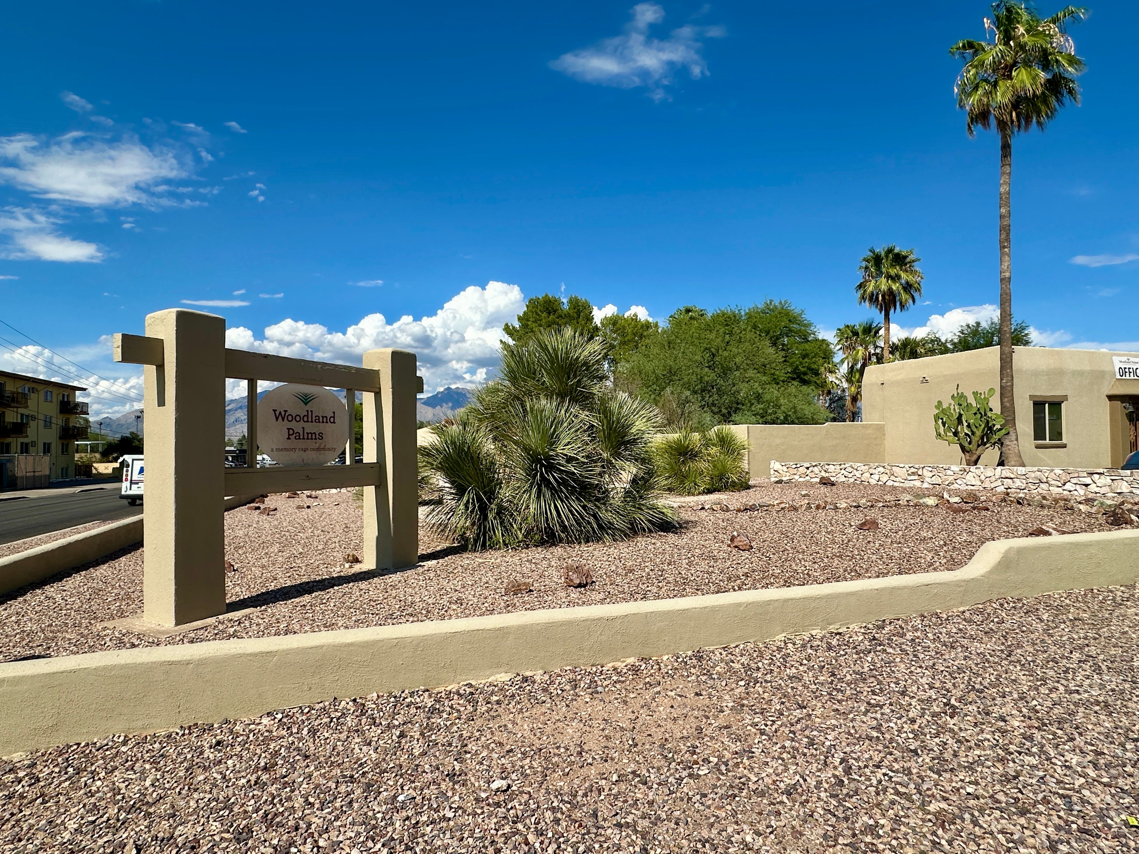 Woodland Palms 4