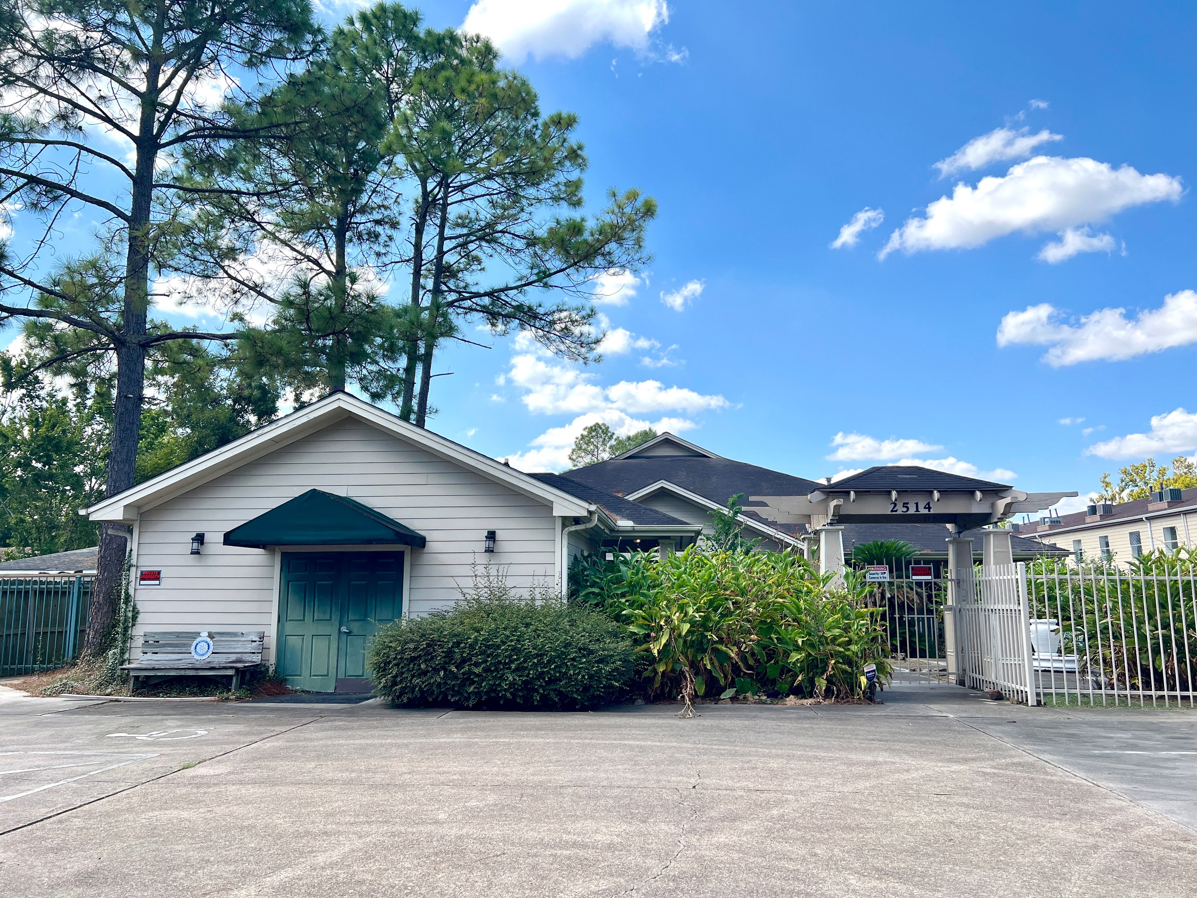 The Pine Tree Of Pasadena 4