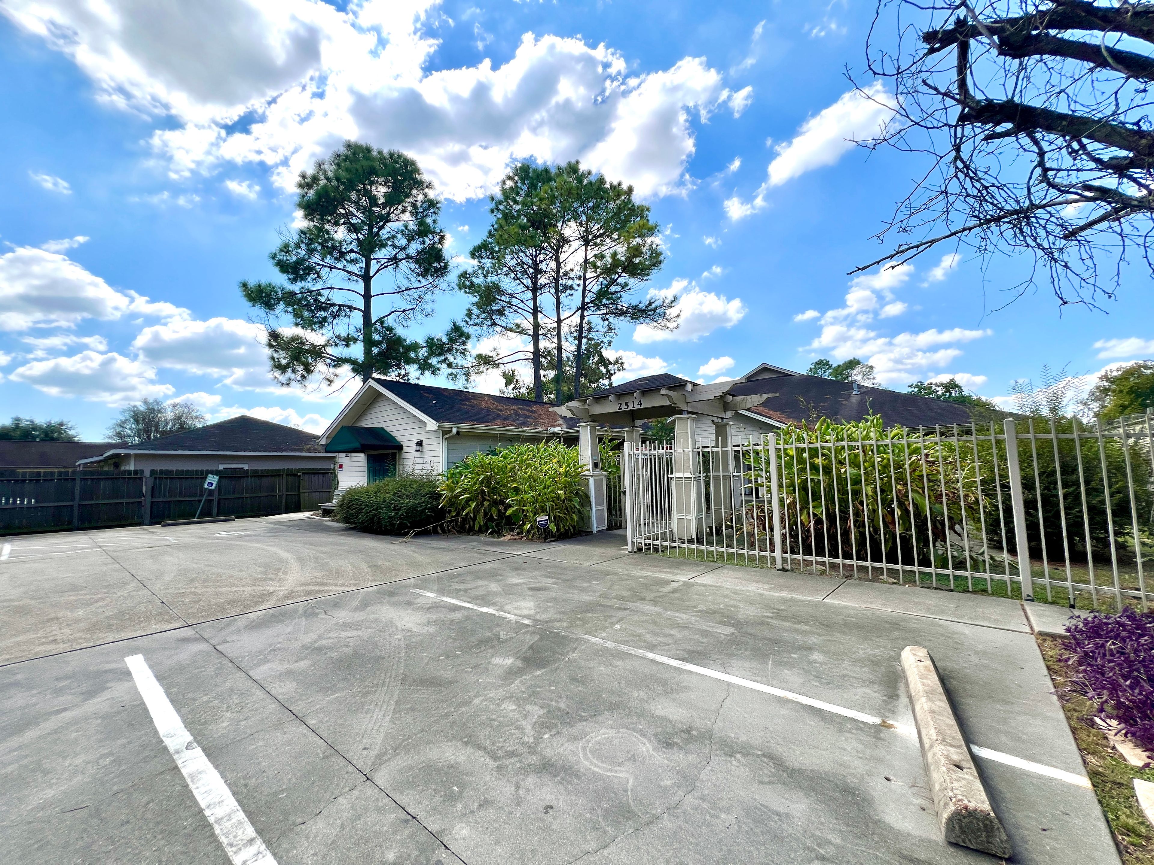 The Pine Tree Of Pasadena 4