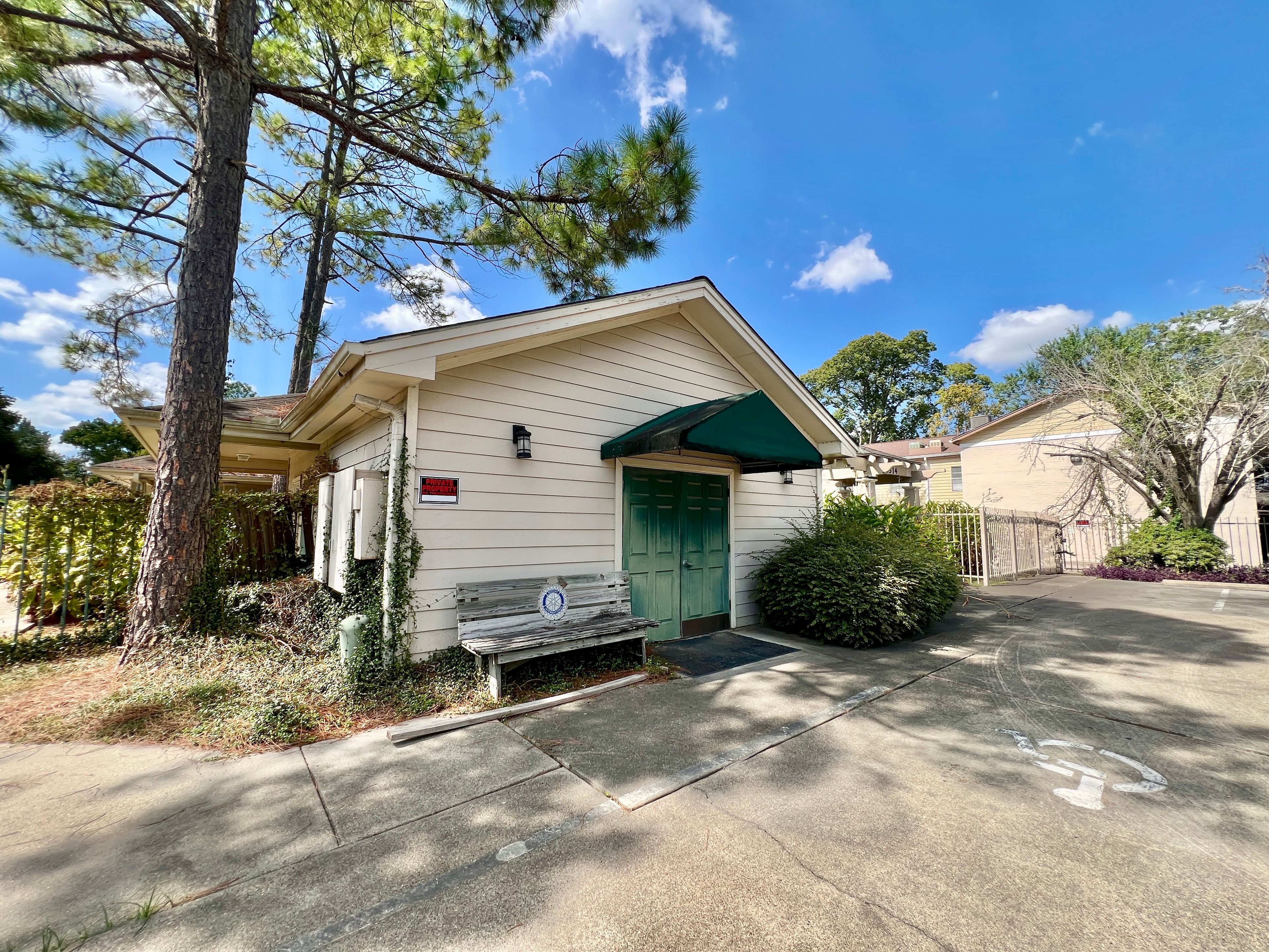 The Pine Tree Of Pasadena 4