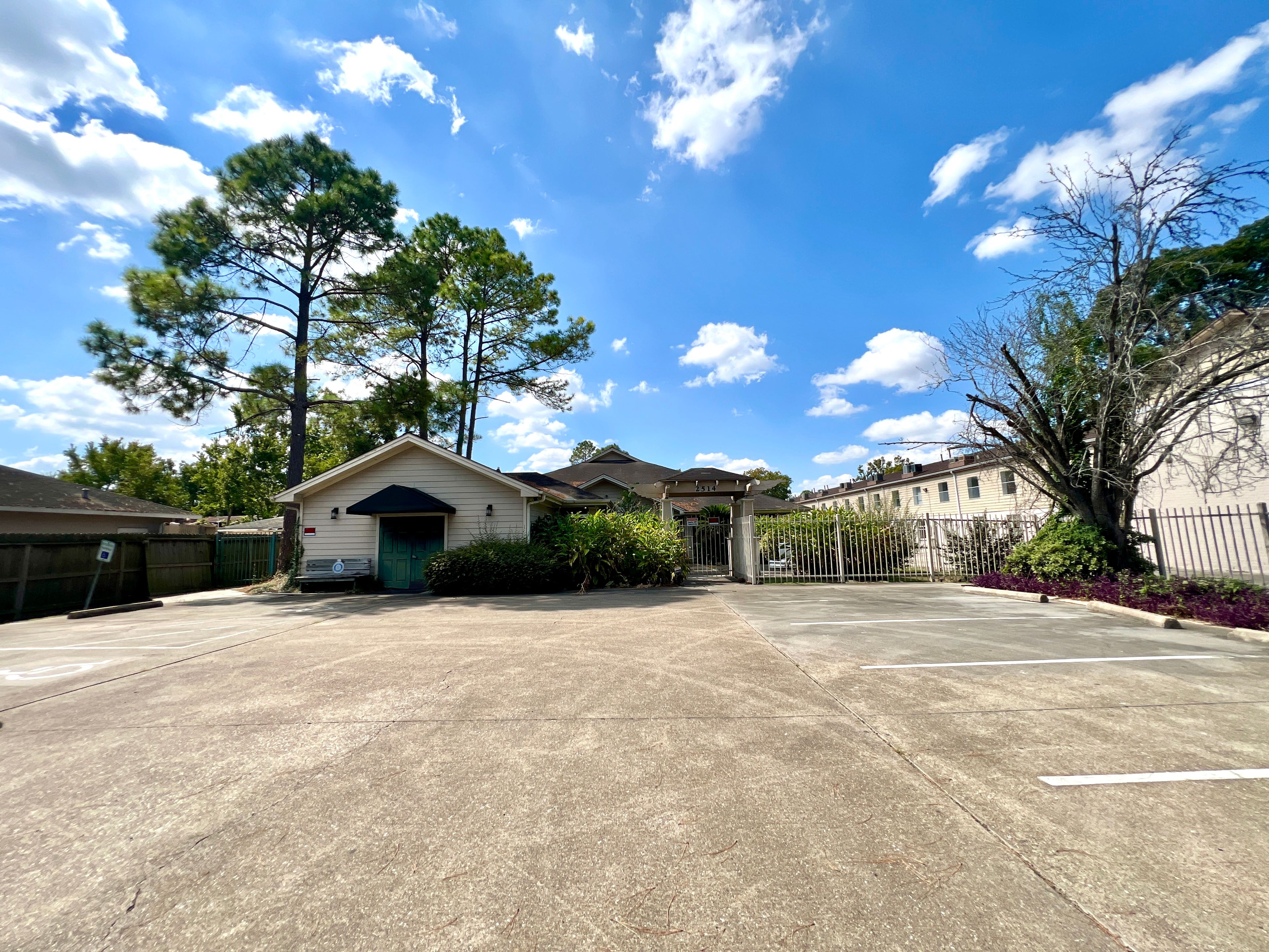 The Pine Tree Of Pasadena 4