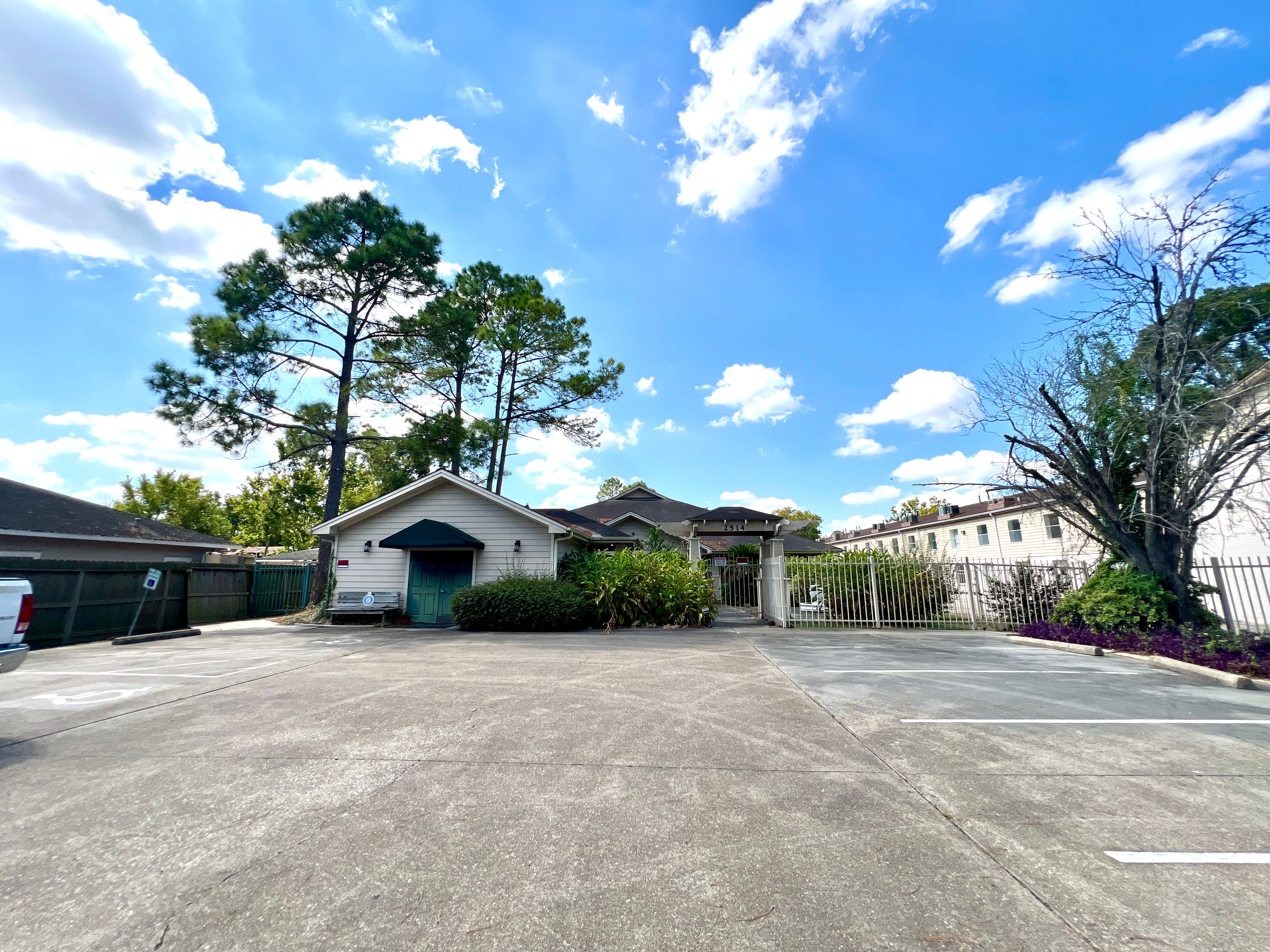 The Pine Tree Of Pasadena 4