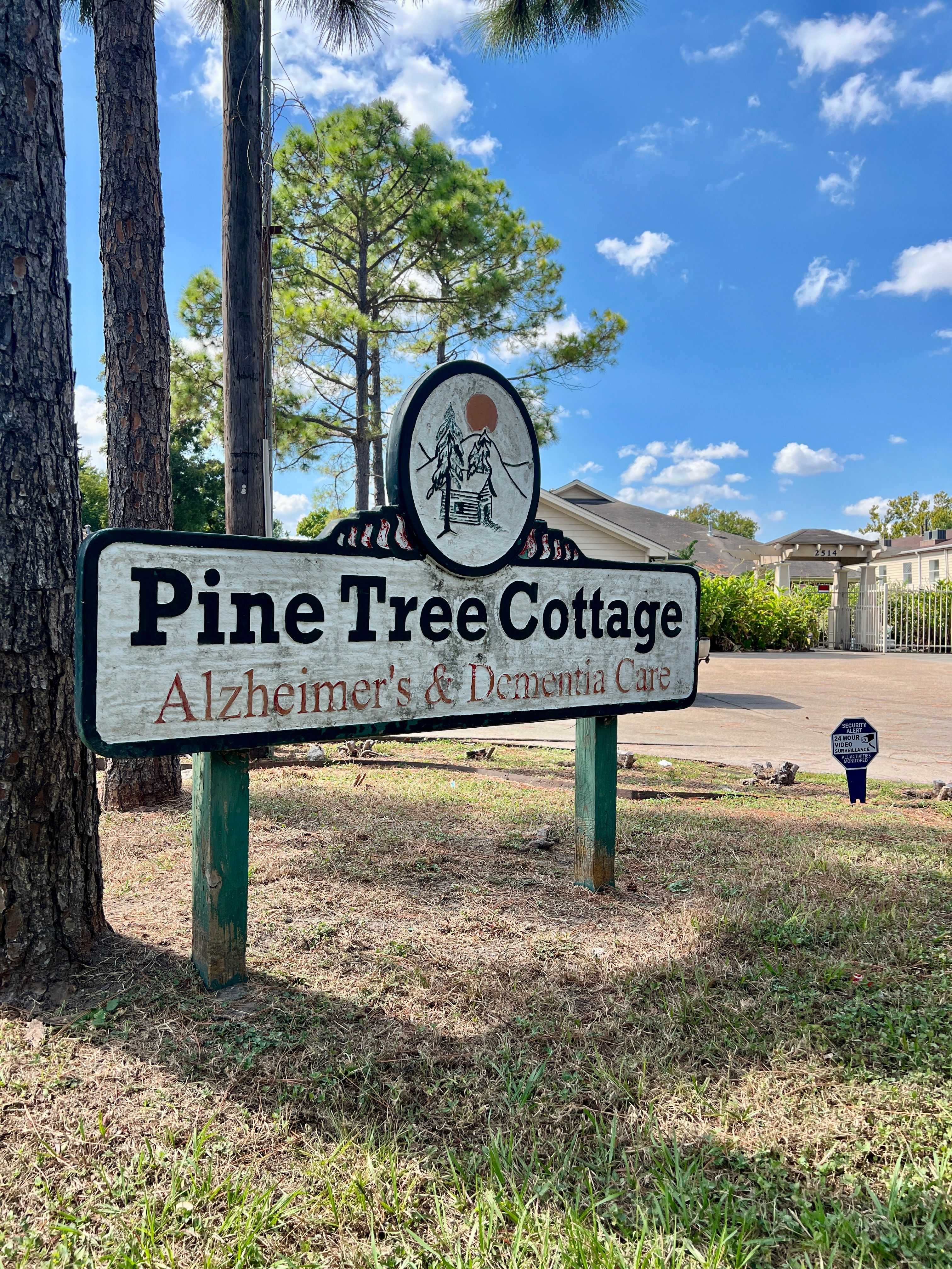 The Pine Tree Of Pasadena 4