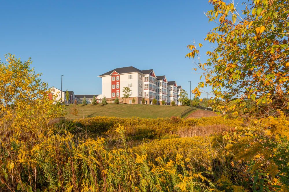 Harmony at West Shore 1