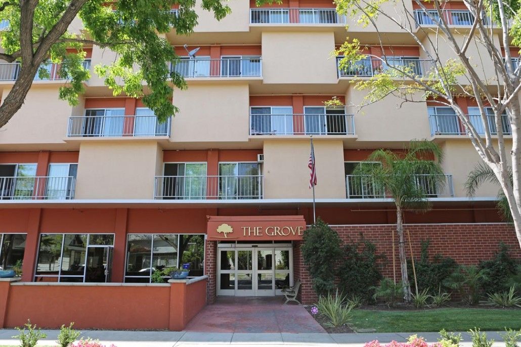 The Grove Care and Wellness 2