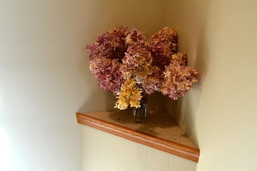 Cedar Tree Assisted Living III 2
