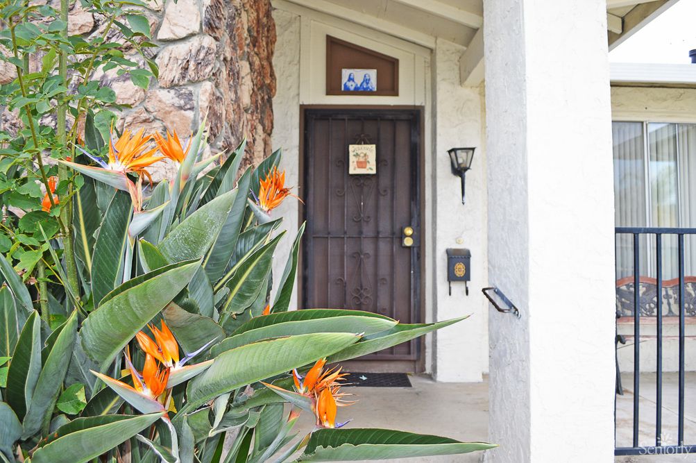 Villa Verde 4