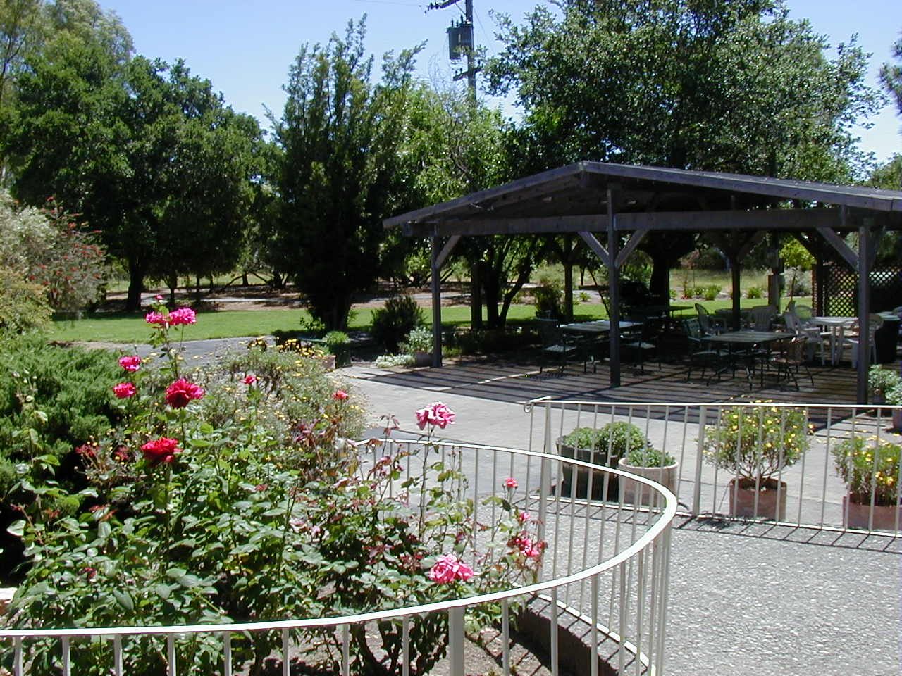 Sonoma Grove 1