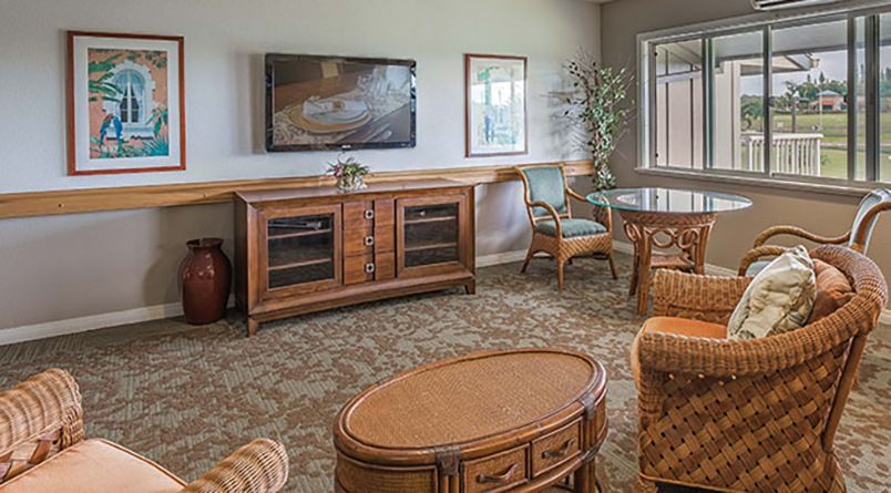 Regency At Puakea 1