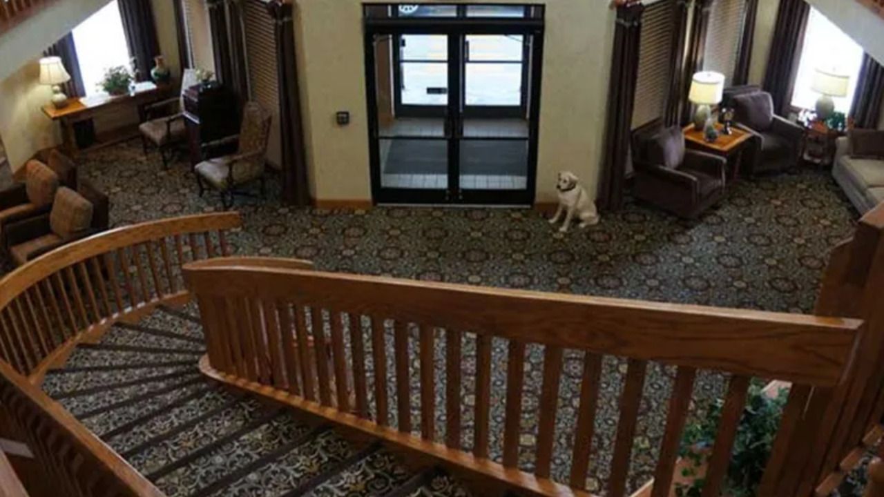 College Walk Senior Living 4