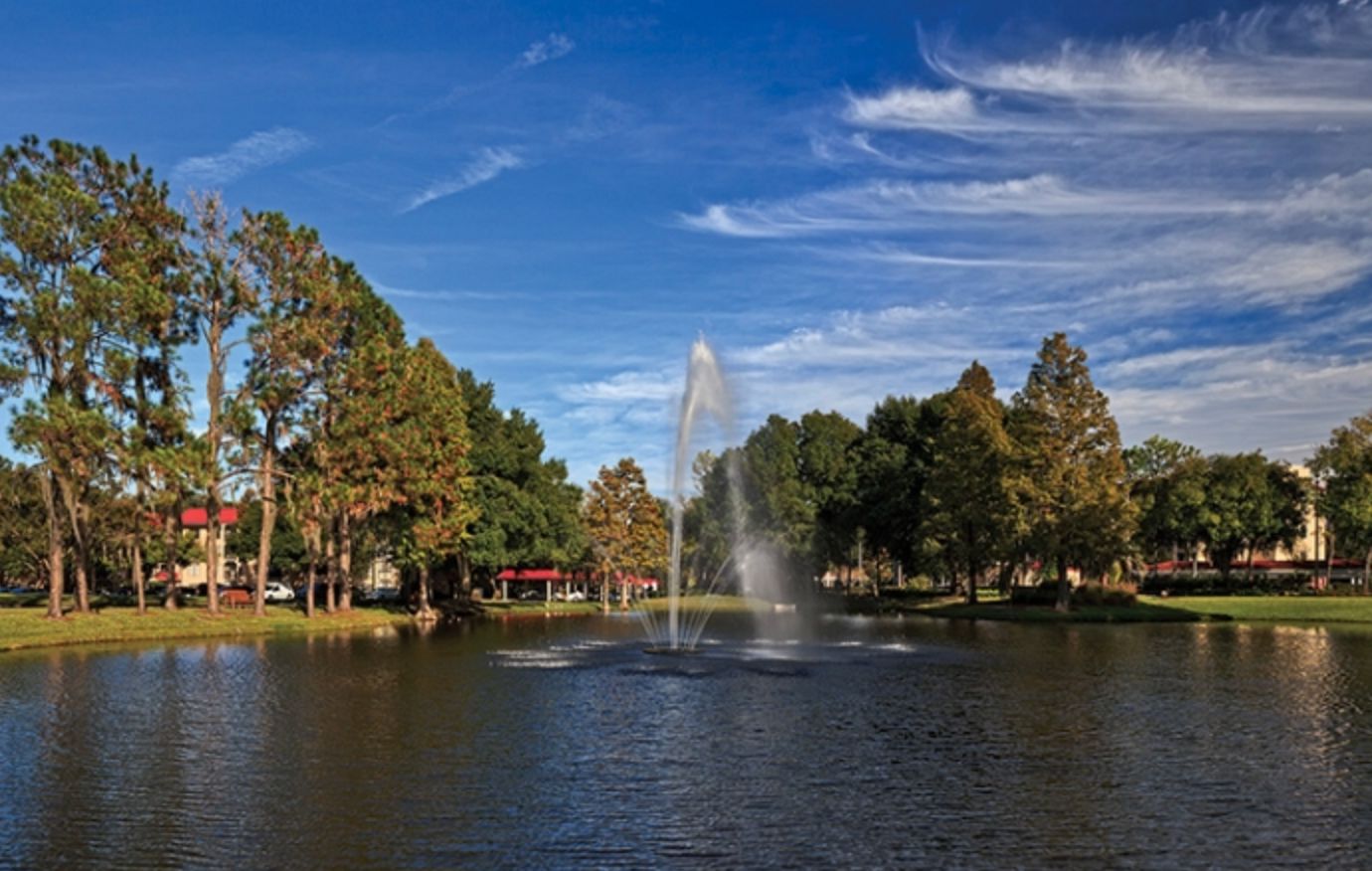 The Estates at Carpenters 4