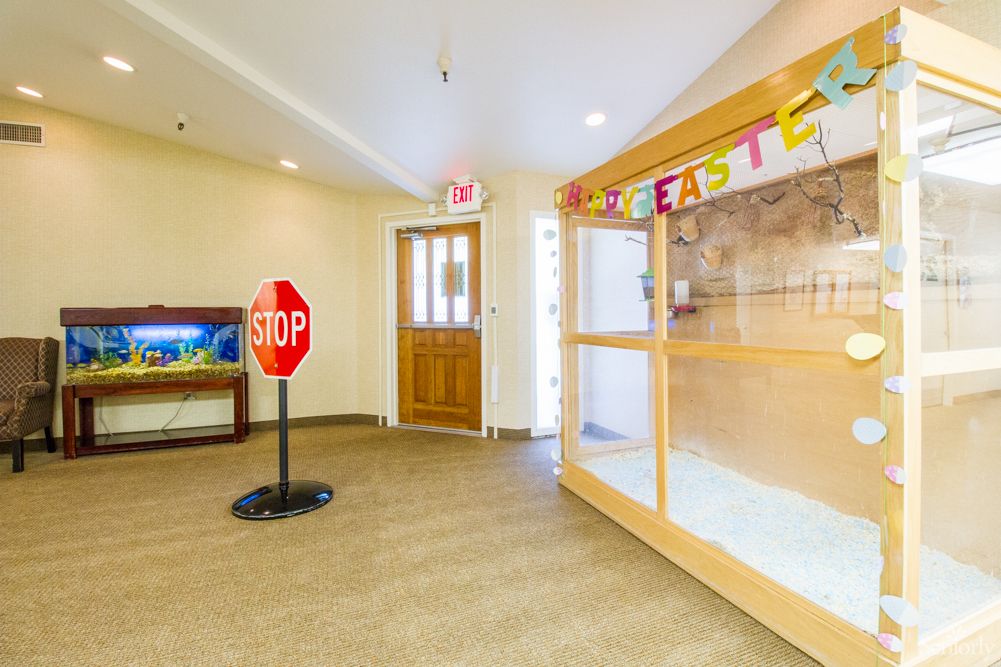 Palm Villas of Los Gatos 2