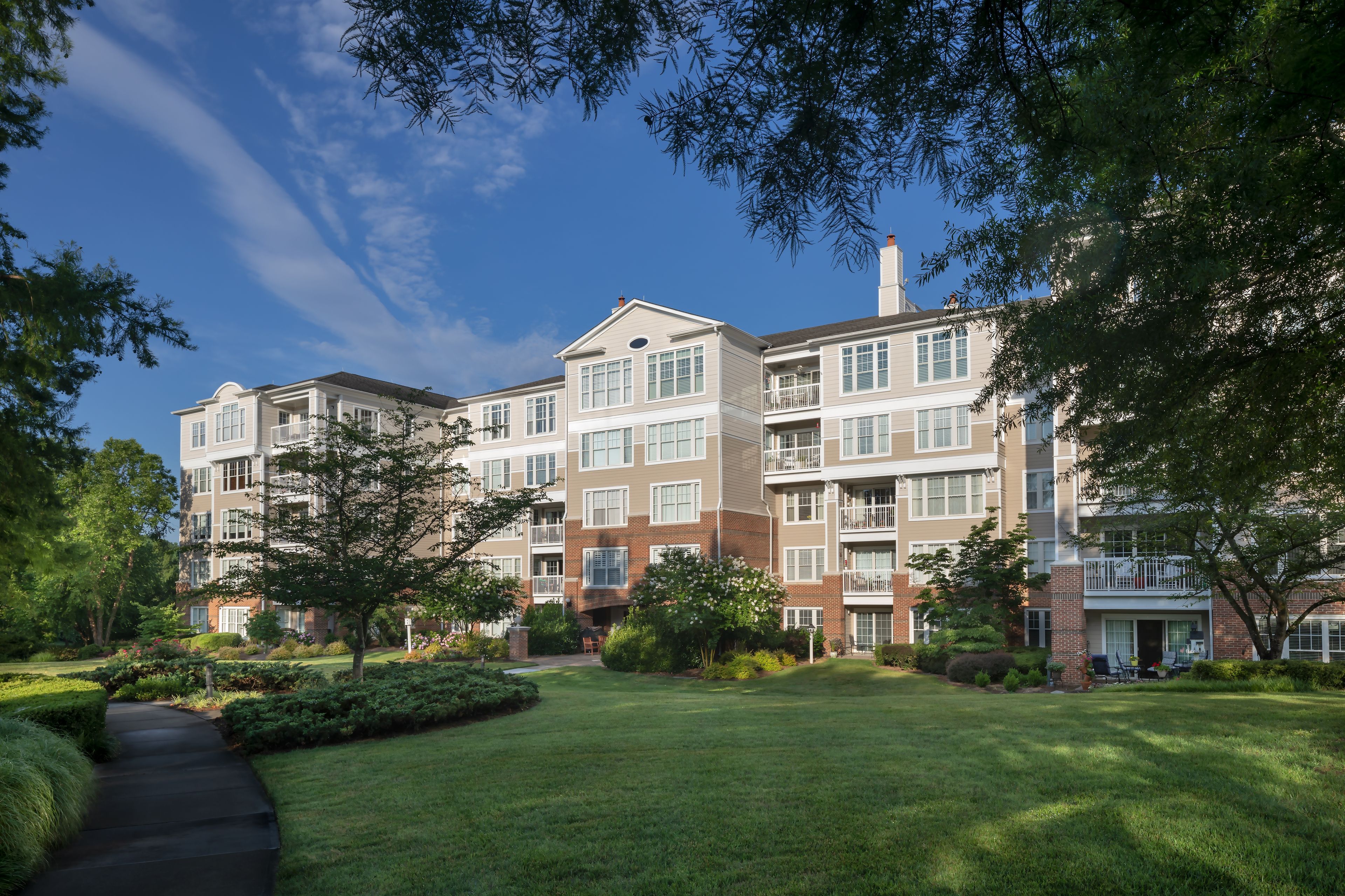 The Cypress of Charlotte 4