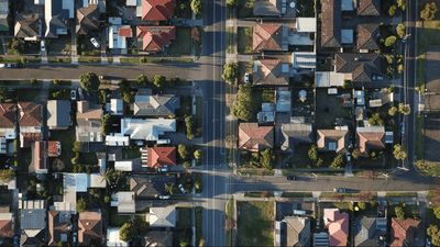 Neighborhood insights