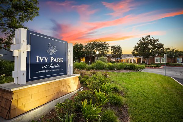 Ivy Park at Tustin - image 1