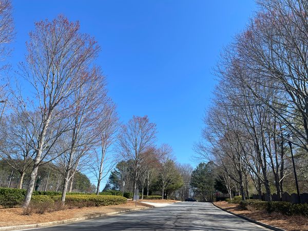 Grove Park - image 1