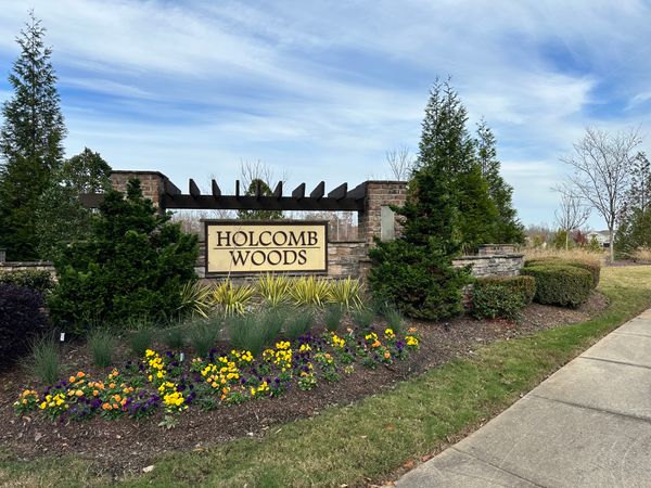Enclave at Holcomb Woods - image 1