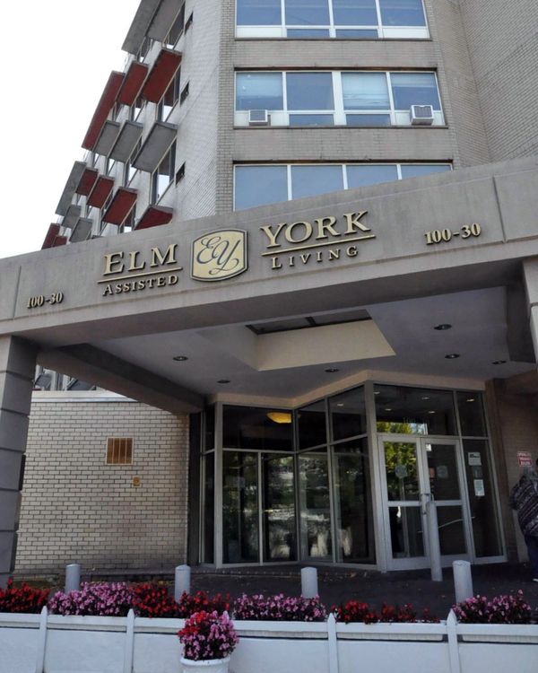 Elm York - image 1