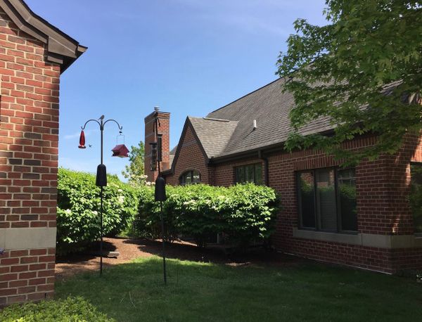 University Commons - image 1