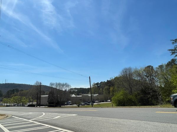 Longleaf Woodstock - image 1