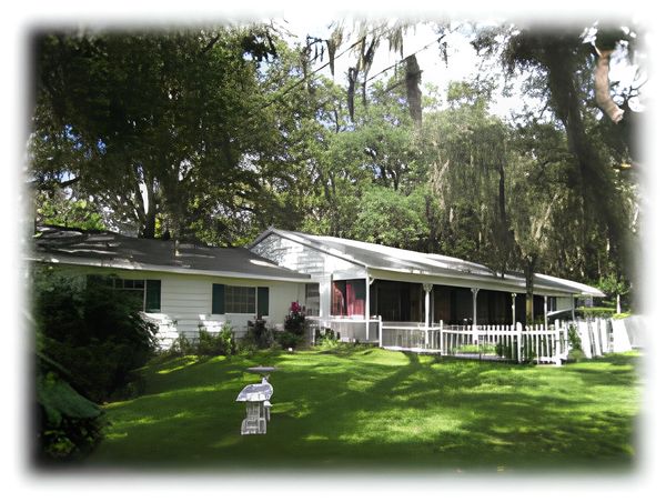 Arbor Cove Alf Of Florida - image 1